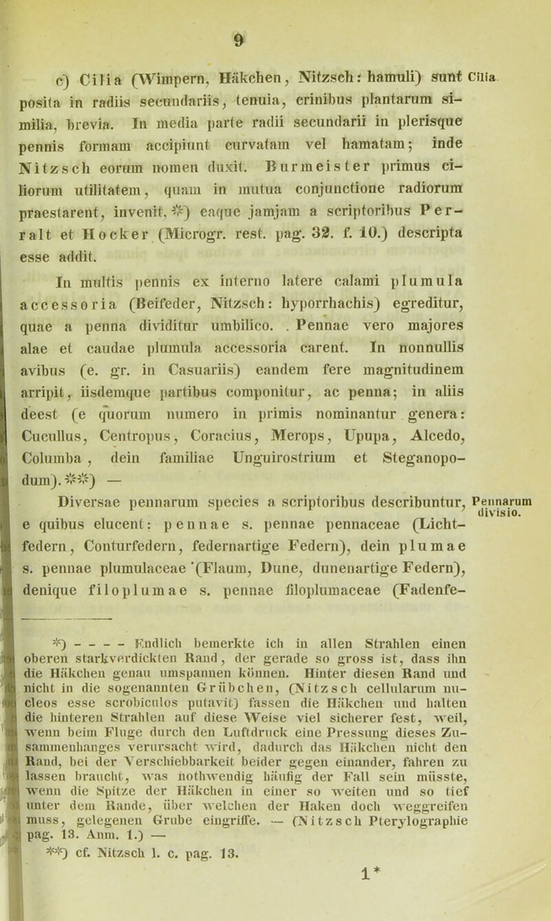 c) Cilia (Wimpern, Hakchen, Nitzsch: hamuli) sunt Cilia posita in radiis secundariis, tenuia, crinibus plantarum si- milia, brevia. In media parte radii secundarii in plerisque pennis formam accipiunt curvatam vel hamatam; inde Nitzsch eorum nomen duxit. Bur mei ster primus ci- liorum utilitatem, quam in mutua conjunctione radiorum praestarent, invenit,#) eaque jamjam a scriptoribus Per- ralt et Hocker (Microgr. rest. pag. 32. f. 10.) descripta esse addit. In multis pennis ex interno latere calami plurnula accessoria (Beifeder, Nitzsch: hyporrhachis) egreditur, quae a penna dividitur umbilico. . Pennae vero majores alae et caudae plumula accessoria carent. In nonnullis avibus (e. gr. in Casuariis) eandem fere magnitudinem arripit, iisdemque partibus componitur, ac penna; in aliis deest (e quorum numero in primis nominantur genera: Cucullus, Centropus, Coracius, Merops, Upupa, Alcedo, Columba , dein familiae Unguirostrium et Steganopo- dum). ##) — Diversae pennarum species a scriptoribus describuntur, Pennanim e quibus elucent: pennae s. pennae pennaceae (Licht- federn, Conturfedern, federnartige Federn), dein plumae s. pennae plumulaceae '(Flaum, Dune, dunenartige Federn), denique filoplumae s. pennae tilopluinaceae (Fadenfe- Kndlich bemerkte ich iu allen Strahlen einen oberen starkverdickten Rand, der gerade so gross ist, dass ihn die Hakchen genau umspannen kbnnen. Hinter diesen Rand und nicht in die sogenannten Griibchen, (Nitzsch cellularum nu- cleos esse scrobiculos putavit) fassen die Hiikclieu und lialten die hinteren Strahlen auf diese Weise viel sicherer fest, weil, i Avenn beim Finge durch deu Luftdruck eine Pressung dieses Zu- I sannnenhanges verursacht wird, dadurcli das Hiikchen nicht den Rand, bei der Verschiebbarkeit beider gegen einander, fahren zu i lassen braucht, Avas notliAA-eudig haufig der Fall sein miisste, 3 AArenn die Spitze der Hakchen iu einer so AAreiten und so tief t unter dem Rande, iiber Avelclien der Haken docli Aveggreifen i muss, gclegenen Grube eiugriffe. — (Nitzsch Pterylographie g pag. 13. Anm. 1.) — JMC) cf. Nitzsch 1. c. pag. 13. 1*