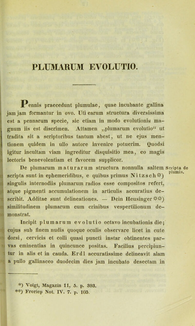 PLUMARIM EVOLUTIO. Pennis praecedunt plumulae, quae incubante gallina jam jam formantur in ovo. Uti earum structura diversissima est a pennarum specie, sic etiam in modo evolutionis ma- gnum iis est discrimen. Attamen „plumarum evolutio“ ut •j tradita sit a scriptoribus tantum abest, ut ne ejus men- )J tionem quidem in ullo autore invenire potuerim. Quodsi igitur incultam viam ingreditur disquisitio mea, eo magis lectoris benevolentiam et favorem supplicor. ! De plumarum maturarum structura nonnulla saltem Scripta de scripta sunt in ephemeridibus, e quibus primus Nitzsch^c) singulis internodiis plumarum radios esse compositos refert, atque pigmenti accumulationem in articulis accuratius de- J scribit. Additae sunt delineationes. — Dein Heusinger >.'*#) similitudinem plumarum cum crinibus vespertilionum de- monstrat. Incipit plumarum evolutio octavo incubationis die; .( cujus sub finem nudis quoque oculis observare licet in cute dorsi, cervicis et colli quasi puncti instar obtinentes par- •j vas eminentias in quincunce positas. Facilius percipiun- tur in alis et in cauda. Erdl accuratissime delineavit alam a pullo gallinaceo duodecim dies jam incubato desectam in *) Voigt, Magazin 11, 5. p. 393. Froriep Not. IV. 7. p. 105.
