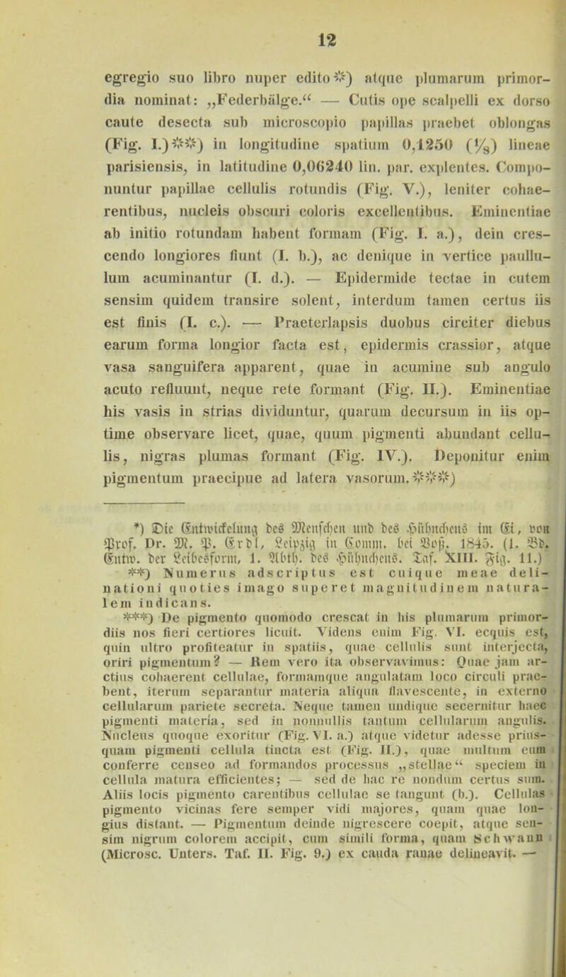 1‘2 egregio suo libro nuper edito &) atque plumarum primor- dia nominat: „Federbalge.“ — Cutis ope scalpelli ex dorso caute desecta sub microscopio papillas praebet oblongas (Fig. I.) in longitudine spatium 0,1250 (l/s) lineae parisiensis, in latitudine 0,00240 lin. par. explentes. Compo- nuntur papillae cellulis rotundis (Fig. V.), leniter cohae- rentibus, nucleis obscuri coloris excellentibus. Eminentiae ab initio rotundam habent formam (Fig. I. a.), dein cres- cendo longiores fiunt (I. b.), ac denique in vertice paullu- lum acuminantur (I. d.). — Epidermide tectae in cutem sensim quidem transire solent, interdum tamen certus iis est finis (I. c.). — Praeterlapsis duobus circiter diebus earum forma longior facta est, epidermis crassior, atque vasa sanguifera apparent, quae in acumine sub angulo acuto refluunt, neque rete formant (Fig. II.). Eminentiae his vasis in strias dividuntur, quarum decursum in iis op- time observare licet, quae, quum pigmenti abundant cellu- lis, nigras plumas formant (Fig. IV.). Deponitur enim pigmentum praecipue ad latera vasorum. *) Dic Sntmcfeluitg bc3 9Jtenfcf)eit unb bed {Mitmtfjcnd im St, noit $rof. Dr. 2)1. Srbt, Seipjia iit Somni. bci JBofi. 1845. (1. (Intro. bcr Seftredform, 1. bed -§iUjncf)eud. £af. !XIII. gig. 11.) Numeras a d s c r i p t u s est cuique meae d e 1 i - nationi quoties imago superet magnitudinem natura- lem indicans. ***) De pigmento quomodo crescat in his plumarum primor- diis nos fieri certiores licuit. Videns enim Fig. VI. ecquis est, quin ultro profiteatur in spatiis, quae cellulis sunt interjecta, oriri pigmentum? — Rem vero ita observavimus: Quae jam ar- ctius cohaerent cellulae, formamque angulatam loco circuli prae- bent, iterum separantur materia aliqua flavescente, in externo cellularum pariete secreta. Neque tamen undique secernitur haec pigmenti materia, sed in nonnullis tantum cellularum angulis. Nucleus quoque exoritur (Fig. VI. a.) atque videtur adesse prius- quam pigmenti cellula tincta est (Fig. II.), quae multum eum conferre censeo ad formandos processus ,,stellae “ speciem in cellula matura efficientes; — sed de hac re nondum certus sum. Aliis locis pigmento carentibus cellulae se tangunt (b.). Cellulas pigmento vicinas fere semper vidi majores, quam quae lon- gius distant. — Pigmentum deinde nigrescere coepit, atque sen- sim nigrum colorem accipit, cum simili forma, quam Schwann