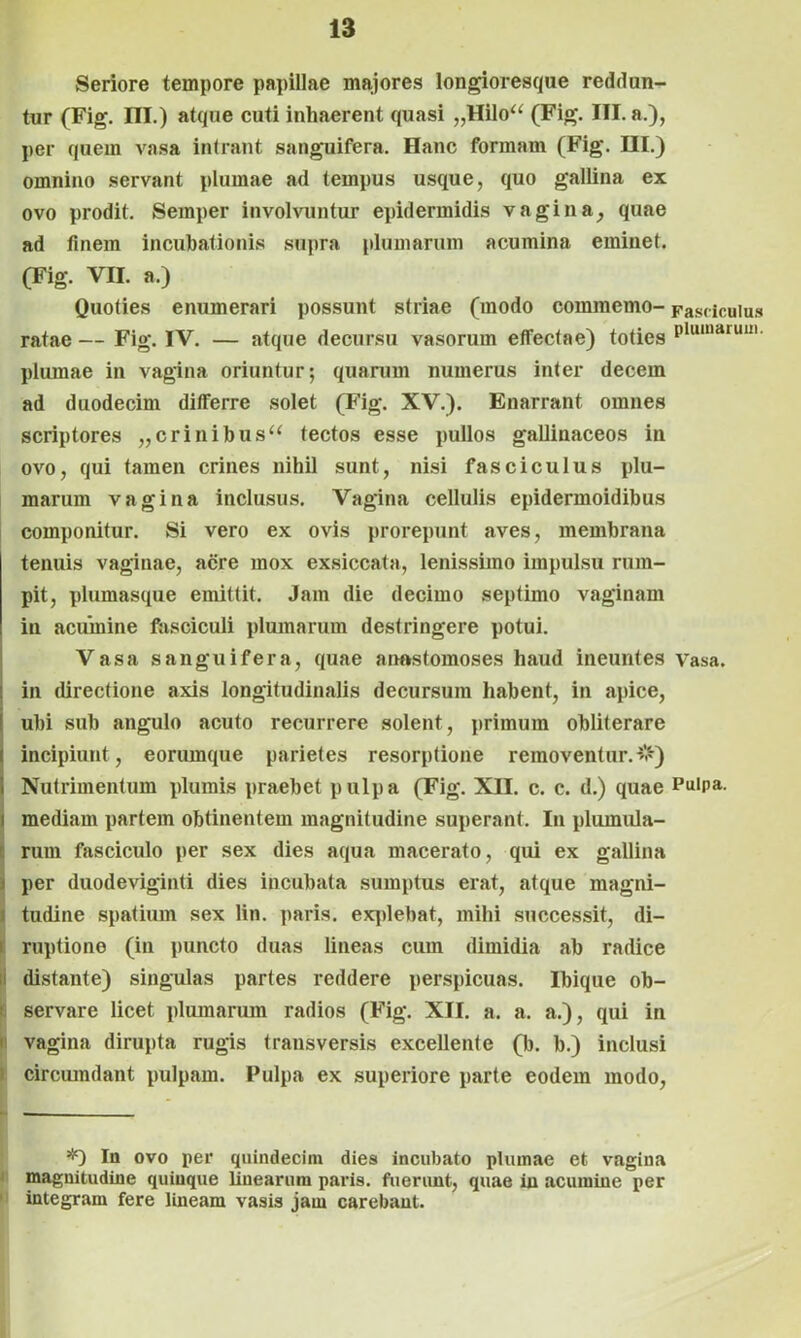 Seriore tempore papillae majores longioresque reddan- tur (Fig. III.) atque cuti inhaerent quasi „Hilo“ (Fig. III. a.), per quem vasa intrant sanguifera. Hanc formam (Fig. HI.) omnino servant plumae ad tempus usque, quo gallina ex ovo prodit. Semper involvuntur epidermidis vagina, quae ad finem incubationis supra plumarum acumina eminet. (Fig. VII. a.) Quoties enumerari possunt striae (modo commemo- Fasciculus ratae— Fig. IV. — atque decursu vasorum effectae) toties pluinarui11' plumae in vagina oriuntur; quarum numerus inter decem ad duodecim differre solet (Fig. XV.). Enarrant omnes scriptores „crinibus“ tectos esse pullos gallinaceos in ovo, qui tamen crines nihil sunt, nisi fasciculus plu- marum vagina inclusus. Vagina cellulis epidermoidibus componitur. Si vero ex ovis prorepunt aves, membrana tenuis vaginae, acre mox exsiccata, lenissimo impulsu rum- pit, plumasque emittit. Jam die decimo septimo vaginam in acumine fasciculi plumarum destringere potui. Vasa sanguifera, quae aimstomoses haud ineuntes vasa, in directione axis longitudinalis decursum habent, in apice, ubi sub angulo acuto recurrere solent, primum obliterare incipiunt, eorumque parietes resorptione removentur.#) Nutrimentum plumis praebet pulpa (Fig. XII. c. c. d.) quae Pulpa. I mediam partem obtinentem magnitudine superant. In plumula- rum fasciculo per sex dies aqua macerato, qui ex gallina per duodeviginti dies incubata sumptus erat, atque magni- Itudine spatium sex lin. paris, explebat, mihi successit, di- ruptione (in puncto duas lineas cum dimidia ab radice distante) singulas partes reddere perspicuas. Ibique ob- servare licet plumarum radios (Fig. XII. a, a. a.), qui in vagina dirupta rugis transversis excellente (b. b.) inclusi circumdant pulpam. Pulpa ex superiore parte eodem modo, - *) In ovo per quindecim dies incubato plumae et vagina magnitudine quinque linearum paris, fuerunt, quae in acumine per integram fere lineam vasis jam carebant.