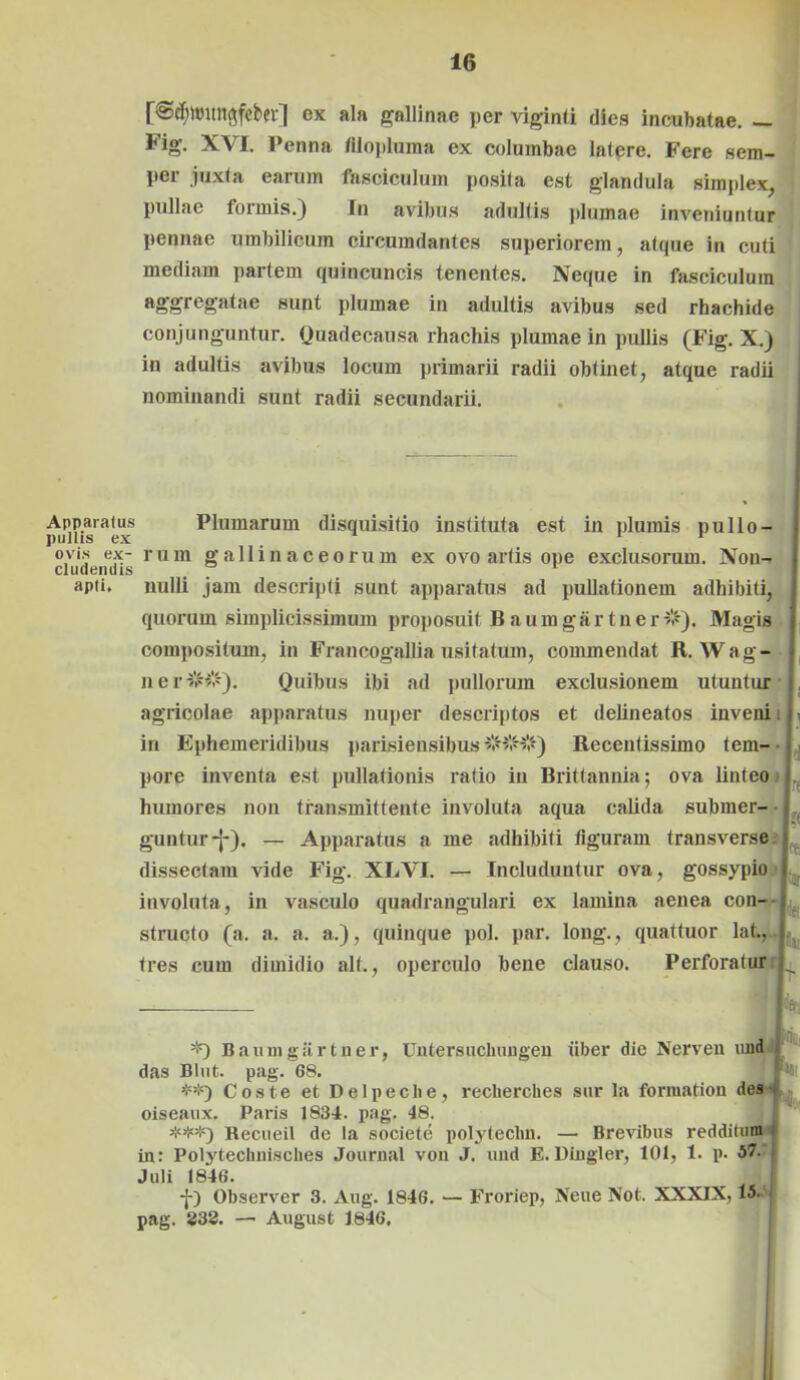 Apparatus pullis ex ovis ex- cludendis apti. [€Scf)tt»tn$feber] ex ala gallinae per viginti dies incubatae. — Fig\ XVI. Penna fllopluma ex columbae latere. Fere sem- per juxta earum fasciculum posita est glandula simplex, pullae formis.) In avibus adultis plumae inveniuntur pennae umbilicum circumdantes superiorem, atque in cuti mediam partem quincuncis tenentes. Neque in fasciculum aggregatae sunt plumae in adultis avibus sed rhachide conjunguntur. Quadecausa rhachis plumae in pullis (Fig. X.) in adultis avibus locum primarii radii obtinet, atque radii nominandi sunt radii secundarii. Plumarum disquisitio instituta est in plumis pullo- rum gallinaceorum ex ovo artis ope exclusorum. Non- nulli jam descripti sunt apparatus ad pullationem adhibiti, quorum simplicissimum proposuit Baumgartner#). Magis compositum, in Francogallia usitatum, commendat R.Wag- n e r ##). Quibus ibi ad pullorum exclusionem utuntur agricolae apparatus nuper descriptos et delineatos inveni i in Ephemeridibus parisiensibus ) Receutissimo tem- pore inventa est pullationis ratio in Brittannia; ova linteo humores non transmittente involuta aqua calida submer- guntur-j-). — Apparatus a me adhibiti figuram transverse dissectam vide Fig. XLVI. — Includuntur ova, gossypio i involuta, in vasculo quadrangulari ex lamina aenea con- : structo (a. a. a. a.), quinque pol. par. long., quattuor lat., tres cum dimidio alf., operculo bene clauso. Perforatur Baumgartner, Untersuchungen iiber die Nerven iuid das Blut. pag. 68. Coste et Delpeclie, reclierches sur la fonuation des oiseaux. Paris 1834. pag. 48. Recueil de la societe polyteclm. — Brevibus redditum in: Polytechnisclies Journal von J. und E. Dingler, 101, 1. p. 57. j Juli 1846. j-) Observer 3. Aug. 1846. — Froriep, Neue Not. XXXIX, pag. 332. —• August 1846, XIX, 15.