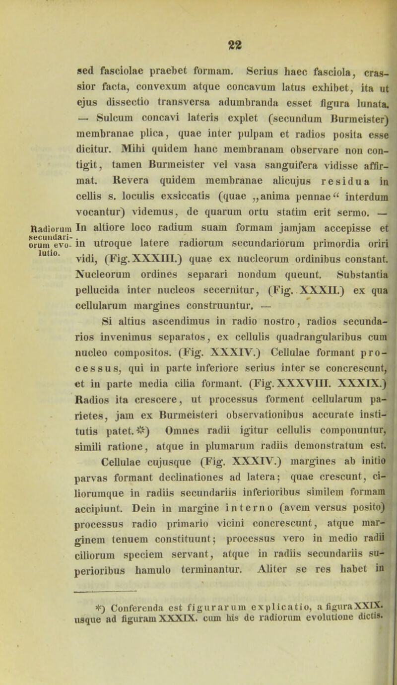 sed fasciolae praebet formam. Serias haec fasciola, cras- sior facta, convexum atque concavum latus exhibet, ita ut ejus dissectio transversa adumbranda esset figura lunata. — Sulcum concavi lateris explet (secundum Burmeister) membranae plica, quae inter pulpam et radios posita esse dicitur. Mihi quidem hanc membranam observare non con- tigit, tamen Bunneister vel vasa sanguifera vidisse affir- mat. Revera quidem membranae alicujus residua in cellis s. loculis exsiccatis (quae „ anima pennae “ interdum vocantur) videmus, de quarum ortu statim erit sermo. — Radiorum In altiore loco radium suam formam jamjam accepisse et secundari- • orum evo- in utroque latere radiorum secundariorum primordia oriri lul,°' vidi, (Fig. XXXIII.) quae ex nucleorum ordinibus constant. Nucleorum ordines separari nondum queunt. Substantia pellucida inter nucleos secernitur, (Fig. XXXII.) ex qua cellularum margines construuntur. — Si altius ascendimus in radio nostro, radios secunda- rios invenimus separatos, ex cellulis quadrangularibus cum nucleo compositos. (Fig. XXXIV.) Cellulae formant pro- cessus, qui in parte inferiore serius inter se concrescunt, et in parte media cilia formant. (Fig. XXXVIII. XXXIX.) Radios ita crescere, ut processus forment cellularum pa- rietes, jam ex Burmeisteri observationibus accurate insti- tutis patet, -s’'*) Omnes radii igitur cellulis componuntur, simili ratione, atque in plumarum radiis demonstratum est. Cellulae cujusque (Fig. XXXIV.) margines ab initio parvas formant declinationes ad latera; quae crescunt, ci- liorumque in radiis secundariis inferioribus similem formam accipiunt. Dein in margine interno (avem versus posito) processus radio primario vicini concrescunt, atque mar- ginem tenuem constituunt; processus vero in medio radii ciliorum speciem servant, atque in radiis secundariis su- perioribus hamulo terminantur. Aliter se res habet in Conferenda est figurarum explicatio, a figuraXXIX. usque ad figuram XXXIX. cum lus de radiorum evolutione dictis.