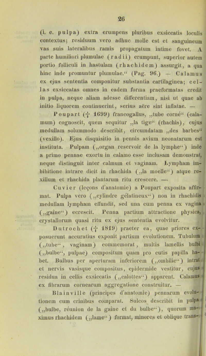 (i. c. pulpa) extra erumpens pluribus exsiccatis loculis contextus; residuum vero adhuc molle est et sanguineum vas suis lateralibus ramis propagatum intime fovet. A parte humiliori plumulae (radii) erumpunt, superior autem portio folliculi in hastulam (rhachidem) assurgit, a qua hinc inde promuntur plumulae.“ (Pag. 96.) — Calamus ex ejus sententia componitur substantia cartilaginea; cel- las exsiccatas omnes in eadem forma praeformatas credit in pulpa, neque aliam adesse differentiam, nisi ut quae ab initio liquorem continuerint, serius aere sint inflatae. — Poupart (-J* 1699) francogallus, „tube corne“ (cala- mum) cognoscit, quem sequitur „la tige“ (rhachis), cujus medullam solummodo describit, circumdatam ,,des barbesa ( (vexillo). Ejus disquisitio in pennis avium neonatarum est instituta. Pulpam („organ reservoir de la lymphe“) inde a primo pennae exortu in calamo esse inclusam demonstrat, neque distinguit inter calmum et vaginam. Lympham iin- bibitioue intrare dicit in rhachida („la moelle**) atque re- xillum et rhachida plantarum ritu crescere. — Cuvier (leqons d’anatomie) a Poupart exposita affir- mat. Pulpa vero („cylindre gelatineuxu) non in rhachidis medullam lympham effundit, sed una cum penna ex vagina i („gaine“) ecrescit. Penna partium attractione physica, crystallorum quasi ritu ex ejus sententia evolvitur. Dutrochet (-}- 1819) praeter ea, quae priores ex- posuerunt accuratius exponit partium evolutionem. Tubulum („tube“, vaginam) commemorat, multis lamellis bulbi („bulbe“, pulpae) compositum quam pro cutis papilla ha- bet. Bulbus per aperturam inferiorem („ombilic*‘) intrat et nervis vasisque compositus, epidermide vestitur, cujus residua in cellis exsiccatis („calot(es*‘) apparent. Calamus ex Abrarum cornearum aggregatione construitur, — Blainville (principes d’anatomie) pennarum evolu- tionem cum crinibus comparat. Sulcos describit in pulpa i („bulbe, reunion de la gaine et du bulbe1*), quorum ma- ximus rhachidem („lame*‘) format, minores et oblique traus- I