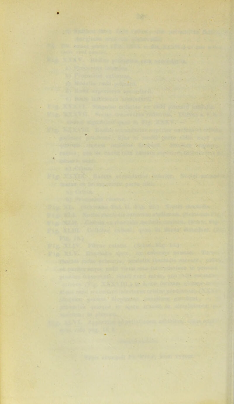 . ’ . • ' * . - . -