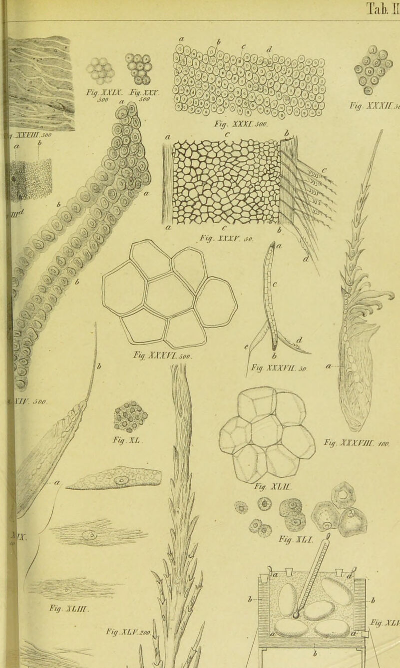 Tat E %. xxxn.u Fu), xxxr.itw Fttj XX.YFL.spn Fit/ XXXIII jt> Fit/ XXXFJIL /tv Fuj xun
