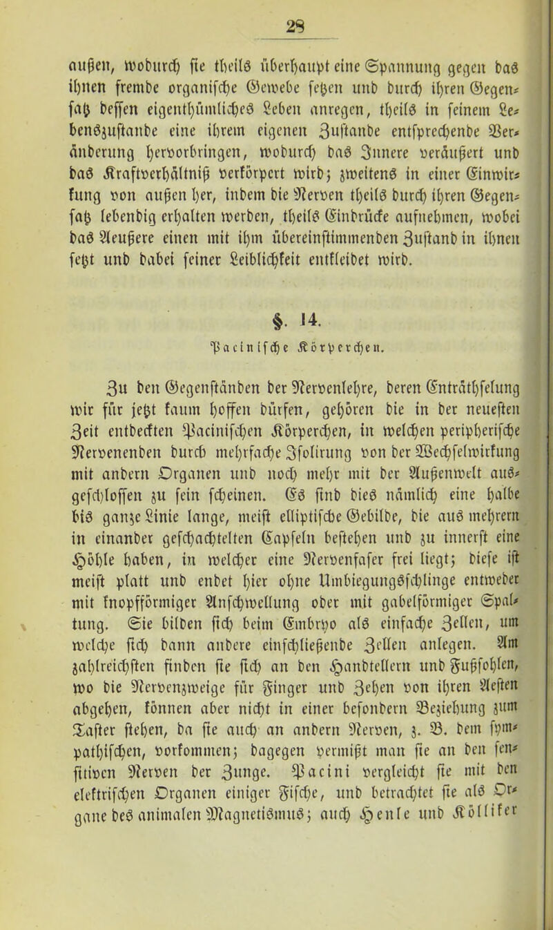 29 außen, wobitrh fte theilö überhaupt eine Spannung gegen bas il)iten frembe organifhe ©ewebe fetten unb burd) ißren ©egen* fab beffen eigent^ümlic^eö Seben anregen, tl)eilö in feinem £e* benöjuftanbe eine ihrem eigenen Suftanbe entfprec^enbe 23er* änbcrung hervorbringen, woburd) baö innere veräußert unb baö Äraftverhältniß vcrförpcrt tt>irb 5 jweitenS in einet ©inwir* Jung von außen her, inbem bie Nerven tljeilg butd) ihren ©egen* fa(j (ebenbig erhalten »erben, theilS ©inbrücfe aufnehmen, wobei baö Sleußere einen mit ihm übereinftimmenben 3uftanb in ihnen febt unb babei feiner Seiblicßfeit entfieibet wirb. §• 14. 'ßacitt ifdje .Körperchen. 3u beit ©egenftänben ber 9fervenlel)re, beren ©nträthfelung wir für febt faum hoffen bürfen, gehören bie in ber neueften 3eit entbecften ffkcinifhen ätörperhen, in welchen peripherifhe üftervenenben burcb mehrfache Sfolirung von ber SBechfelwitfung mit anbertt Drganen unb noch mehr mit ber Außenwelt auö* gefcl)loffen 3U fein fcheinen. ©ö ftnb bieö nämlich eine h^(öe bis gan$e Sinie lange, meift elliptifche ©ebilbe, bie auö mehrern in einanber gefchachtelten ©apfeln beftel)en unb }u innerft eine Jgwhle haben, in welker eine Diervenfafer frei liegt; biefe iß meift platt unb enbet I)ier ohne Umbiegungöfchlinge entweber mit fnopfförmiger Slnfhwellung ober mit gabelförmiger ©pal* tung. ©ie bilben fiel) beim ©mbrvo alö einfache 3ellen, um weihe fth bann anbere einfhließenbe 3ellen anlegen. 2lm jablreihften ftnbcn fte fth an ben äjanbtellern unb giußfobfetV wo bie üftervenjweige für ginger unb 3ehen von ihren heften abgeßen, fönnen aber nicht in einer befonbern 33ejiehung junt Hafter flehen, ba fte and) an anbern Nerven, 3. 33. bem fpm* patl)ifhen/ »orfommen; bagegen vermißt man fie an ben fett* fttiven 9ietven bet 3l*nge. *J3acini vergleiht fte mit ben eleftrifhen Drganen einiger gifeße, unb betrahtet fte alö 0i> gane beö animalen SKagnetiöinuö; auh ^eitle unb Äöllifer