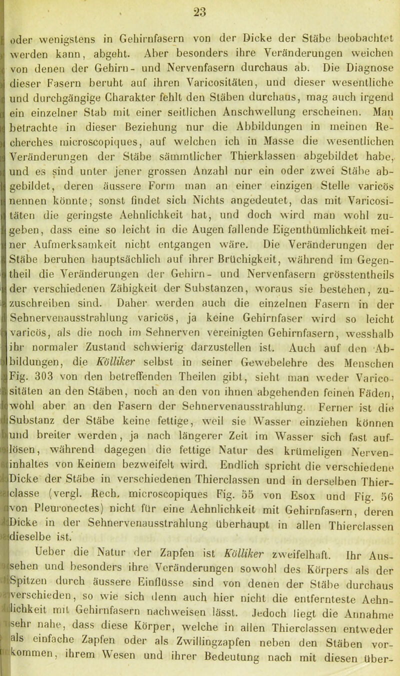 oder wenigstens in Gehirnfasern von der Dicke der Stäbe beobachtet werden kann, abgeht. Aber besonders ihre Veränderungen weichen von denen der Gehirn- und Nervenfasern durchaus ab. Die Diagnose S dieser Fasern beruht auf ihren Varicositäten, und dieser wesentliche und durchgängige Charakter fehlt den Stäben durchaus, mag auch irgend ein einzelner Stab mit einer seitlichen Anschwellung erscheinen. Man betrachte in dieser Beziehung nur die Abbildungen in meinen Re- cherehes microscopiques, auf welchen ich in Masse die wesentlichen Veränderungen der Stäbe sämmtlicher Thierklassen abgebildet habe, und es sind unter jener grossen Anzahl nur ein oder zwei Stäbe ab- gebildet, deren äussere Form man an einer einzigen Stelle varicös nennen könnte; sonst findet sich Nichts angedeutet, das mit Varicosi- täten die geringste Aehnlichkeit hat, und doch wird man wohl zu- geben, dass eine so leicht in die Augen fallende Eigenthlimlichkeit mei- ner Aufmerksamkeit nicht entgangen wäre. Die Veränderungen der Stäbe beruhen hauptsächlich auf ihrer Brüchigkeit, während im Gegen- theil die Veränderungen der Gehirn- und Nervenfasern grösstentheils der verschiedenen Zähigkeit der Substanzen, woraus sie bestehen, zu- zuschreiben sind. Daher werden auch die einzelnen Fasern in der Sehnervenausstrahluug varicös, ja keine Gehirnfaser wird so leicht varicös, als die noch im Sehnerven vereinigten Gehirnfasern, wesshalb ihr normaler Zustand schwierig darzustellen ist. Auch auf den Ab- bildungen, die Kölliker selbst in seiner Gewebelehre des Menschen Fig. 303 von den betreffenden Theilen gibt, sieht man weder Varico- sitäten an den Stäben, noch an den von ihnen abgehenden feinen Fäden, wohl aber an den Fasern der Sehnervenausstrahlung. Ferner ist die Substanz der Stäbe keine fettige, weil sie Wasser einziehen können und breiter werden, ja nach längerer Zeit im Wasser sich fast auf- lösen, während dagegen die fettige Natur des krümeligen Nerven- inhaltes von Keinem bezweifelt wird. Endlich spricht die verschiedene Iicke der Stäbe in verschiedenen Thierclassen und in derselben Thier- asse (vergl. Rech, microscopiques Fig. 55 von Esox und Fig. 56 on Pleuronectes) nicht für eine Aehnlichkeit mit Gehirnfasern, deren icke in der Sehnervenausstrahlung überhaupt in allen Thierclassen ieselbe ist. Ueber die Natur der Zapfen ist Kölliker zweifelhaft. Ihr Aus- ten und besonders ihre Veränderungen sowohl des Körpers als der pitzen durch äussere Einflüsse sind von denen der Stäbe durchaus erschieden, so wie sich denn auch hier nicht die entfernteste Aehn- dikeit mit Gehirnfasern nachweisen lässt. Jedoch liegt die Annahme du nahe, dass diese Körper, welche in allen Thierclassen entweder ls einfache Zaplen oder als Zwillingzapfen neben den Stäben vor- ommen, ihrem Wesen und ihrer Bedeutung nach mit diesen über-