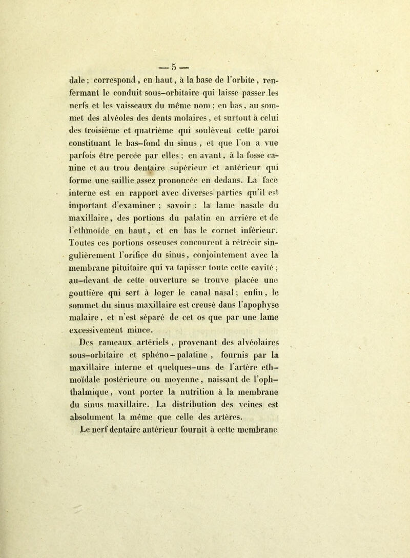 dale ; correspond , en haut, à la base de l’orbite, ren- fermant le conduit sous-orbitaire qui laisse passer les nerfs et les vaisseaux du même nom ; en bas, au som- met des alvéoles des dents molaires , et surtout à celui des troisième et quatrième qui soulèvent celte paroi constituant le bas-fond du sinus , et que l’on a vue parfois être percée par elles ; en avant, à la fosse ca- nine et au trou dentaire supérieur et antérieur qui forme une saillie assez prononcée en dedans. La face interne est en rapport avec diverses parties qu’il est important d’examiner ; savoir : la lame nasale du maxillaire, des portions du palatin en arrière et de l’eth’moïde en haut, et en bas le cornet inférieur. Toutes ces portions osseuses concourent à rétrécir sin- gulièrement l’orifice du sinus, conjointement avec la membrane pituitaire qui va tapisser toute cette cavité ; au-devant de cette ouverture se trouve placée une gouttière qui sert à loger le canal nasal ; enfin, le sommet du sinus maxillaire est creusé dans l'apophyse nialaire, et n’est séparé de cet os que par une lame excessivement mince. Des rameaux artériels , provenant des alvéolaires sous-orbitaire et sphéno - palatine , fournis par la maxillaire interne et quelques-uns de l’artère eth- moïdale postérieure ou moyenne, naissant de l’oph- thalmique, vont porter la nutrition à la membrane du sinus maxillaire. La distribution des veines est absolument la même que celle des artères. Le nerf dentaire antérieur fournit à cette membrane