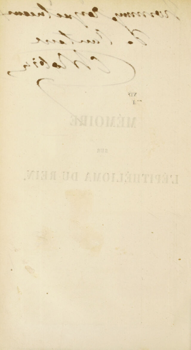 digitised image 2