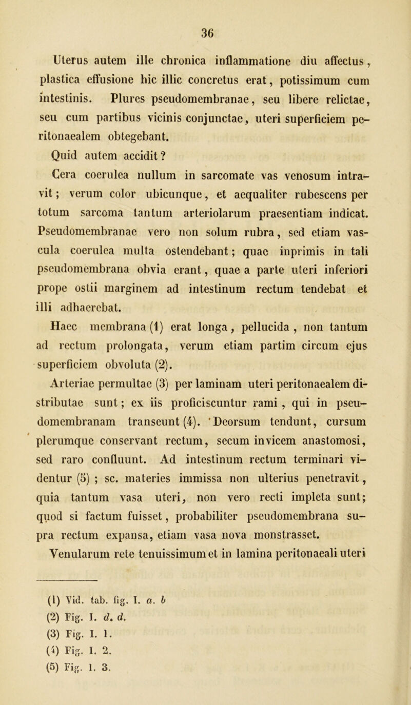 Uterus autem ille chronica inflammatione diu affectus, plastica effusione hic illic concretus erat, potissimum cum intestinis. Plures pseudomembranae, seu libere relictae, seu cum partibus vicinis conjunctae, uteri superficiem pe- ritonaealem obtegebant. Quid autem accidit? Cera coerulea nullum in sarcomate vas venosum intra- vit ; verum color ubicunque, et aequaliter rubescens per totum sarcoma tantum arteriolarum praesentiam indicat. Pseudomembranae vero non solum rubra, sed etiam vas- cula coerulea multa ostendebant; quae inprimis in tali pseudomembrana obvia erant, quae a parte uteri inferiori prope ostii marginem ad intestinum rectum tendebat et illi adhaerebat. Haec membrana (1) erat longa, pellucida, non tantum ad rectum prolongata, verum etiam partim circum ejus superficiem obvoluta (2). Arteriae permultae (3) per laminam uteri peritonaealem di- stributae sunt; ex iis proficiscuntur rami , qui in pseu- domembranam transeunt (4). 'Deorsum tendunt, cursum plerumque conservant rectum, secum invicem anastomosi, sed raro confluunt. Ad intestinum rectum terminari vi- dentur (5) ; sc. materies immissa non ulterius penetravit, quia tantum vasa uteri, non vero recti impleta sunt; quod si factum fuisset, probabiliter pseudomembrana su- pra rectum expansa, etiam vasa nova monstrasset. Venularum rete tenuissimum et in lamina peritonaeali uteri (1) yid. tab. fig. 1. a. b (2) Fig. I. d,d. (3) Fig. I. 1. (4) Fig. 1. 2. (5) Fig. 1. 3.