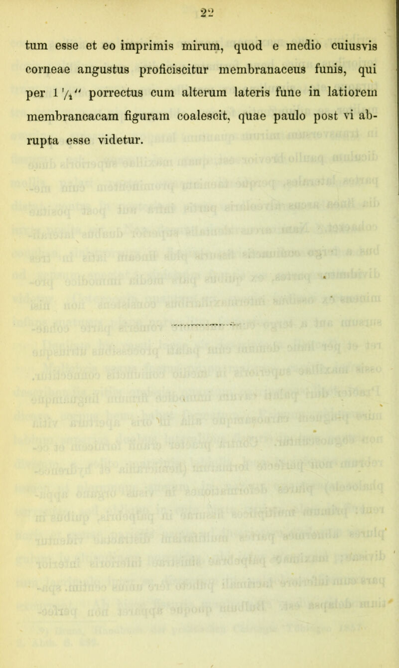 2ti tum esse et eo imprimis mirum, quod e medio cuiusvis corneae angustus proficiscitur membranaceus funis, qui per l’/i porrectus cum alterum lateris fune in latiorem membrancacam figuram coalescit, quae paulo post vi ab- rupta esse videtur.