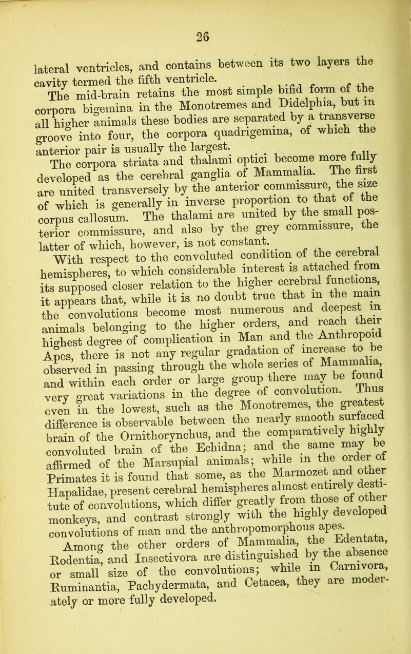 lateral ventricles, and contains between its two layers the cavity termed the fifth ventricle. The mid-brain retains the most simple bifid form of the corpora bigemina in the Monotremes and Didelphia, but m all higher animals these bodies are separated by a transverse groove into four, the corpora quadrigemina, of which the anterior pair is usually the largest. <• 11 The corpora striata and thalami optici become more f y developed as the cerebral ganglia of Mammalia. The first are united transversely by the anterior commissure the size of which is generally in inverse proportion to that oi the corpus callosum. The thalami are united by the small pos- terior commissure, and also by the grey commissure, the latter of which, however, is not constant. . With respect to the convoluted condition of the cerebra hemispheres, to which considerable interest is attached from its supposed closer relation to the higher cerebral functions, it appears that, while it is no doubt true that m the main the convolutions become most numerous and deepest m smimals belonging to the higher orders, and reach their highest degree°of complication in Man and the Anthropoid Apes, there is not any regular gradation of increase to observed in passing through the whole series of Mammalia and within each order or large group there may be foun very great variations in the degree of convolution. Thus even in the lowest, such as the Monotremes, the greatest difference is observable between the nearly smooth surfaced brain of the Ornithorynchus, and the comparatively hi0 y convoluted brain of the Echidna; and the same may be affirmed of the Marsupial animals; while in the order o Primates it is found that some, as the Marmozet and ot er Hapalidae, present cerebral hemispheres almost entirely desti- tute of convolutions, which differ greatly from those of other monkeys, and contest strongly with the highly developed convolutions of man and the anthropomorphous apes. Among the other orders of Mammalia, the Edentata, Bodentia, and Insectivora are distinguished by theaWw or small size of the convolutions; while in Carnivora, Buminantia, Pachydermata, and Cetacea, they are mo er- atelj or more fully developed*