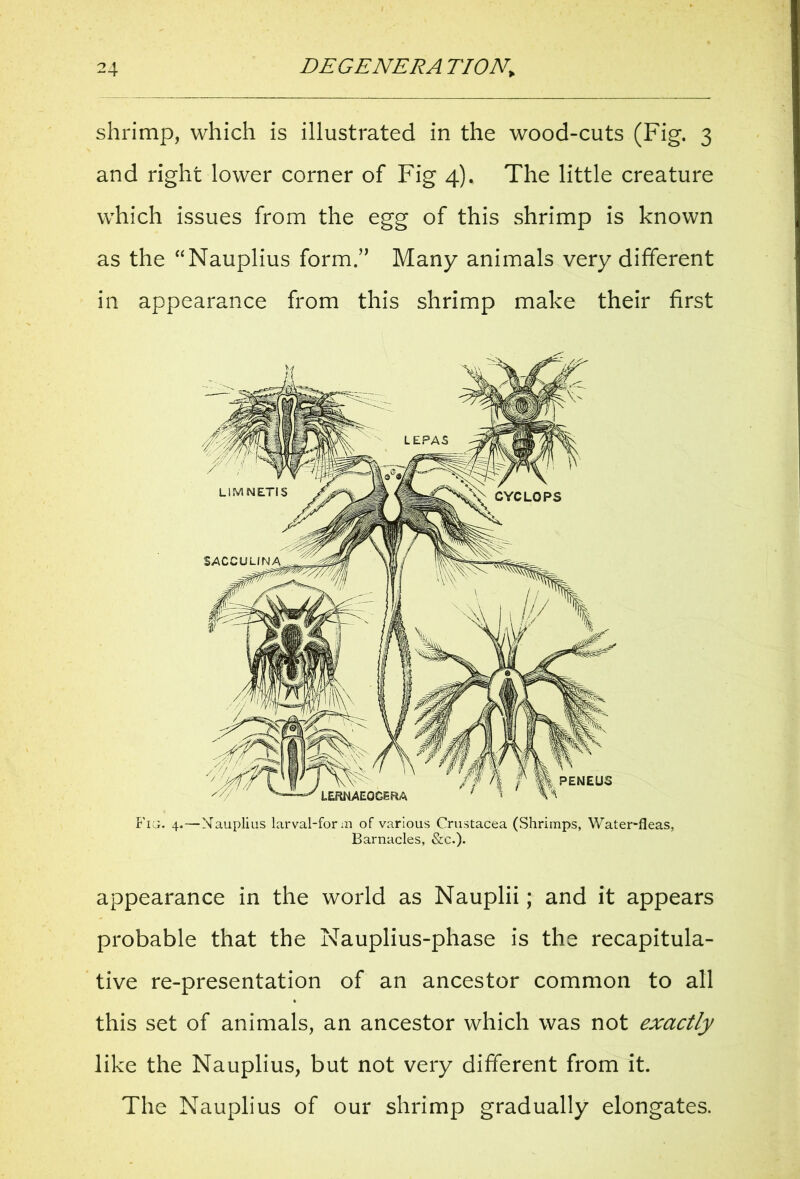 shrimp, which is illustrated in the wood-cuts (Fig. 3 and right lower corner of Fig 4). The little creature which issues from the egg of this shrimp is known as the “Nauplius form.” Many animals very different in appearance from this shrimp make their first Fig. 4.—Nauplius larval-form of various Crustacea (Shrimps, Water-fleas, Barnacles, &c.). appearance in the world as Nauplii; and it appears probable that the Nauplius-phase is the recapitula- tive re-presentation of an ancestor common to all this set of animals, an ancestor which was not exactly like the Nauplius, but not very different from it. The Nauplius of our shrimp gradually elongates.