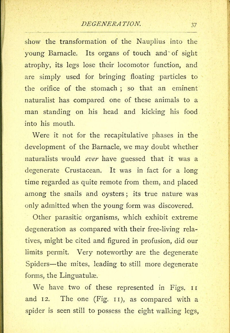 show the transformation of the Nauplius into the young Barnacle. Its organs of touch and of sight atrophy, its legs lose their locomotor function, and are simply used for bringing floating particles to the orifice of the stomach ; so that an eminent naturalist has compared one of these animals to a man standing on his head and kicking his food into his mouth. Were it not for the recapitulative phases in the development of the Barnacle, we may doubt whether naturalists would ever have guessed that it was a degenerate Crustacean. It was in fact for a long time regarded as quite remote from them, and placed among the snails and oysters ; its true nature was only admitted when the young form was discovered. Other parasitic organisms, which exhibit extreme degeneration as compared with their free-living rela- tives, might be cited and figured in profusion, did our limits permit. Very noteworthy are the degenerate Spiders—the mites, leading to still more degenerate forms, the Linguatulae. We have two of these represented in Figs, n and 12. The one (Fig. n), as compared with a spider is seen still to possess the eight walking legs,