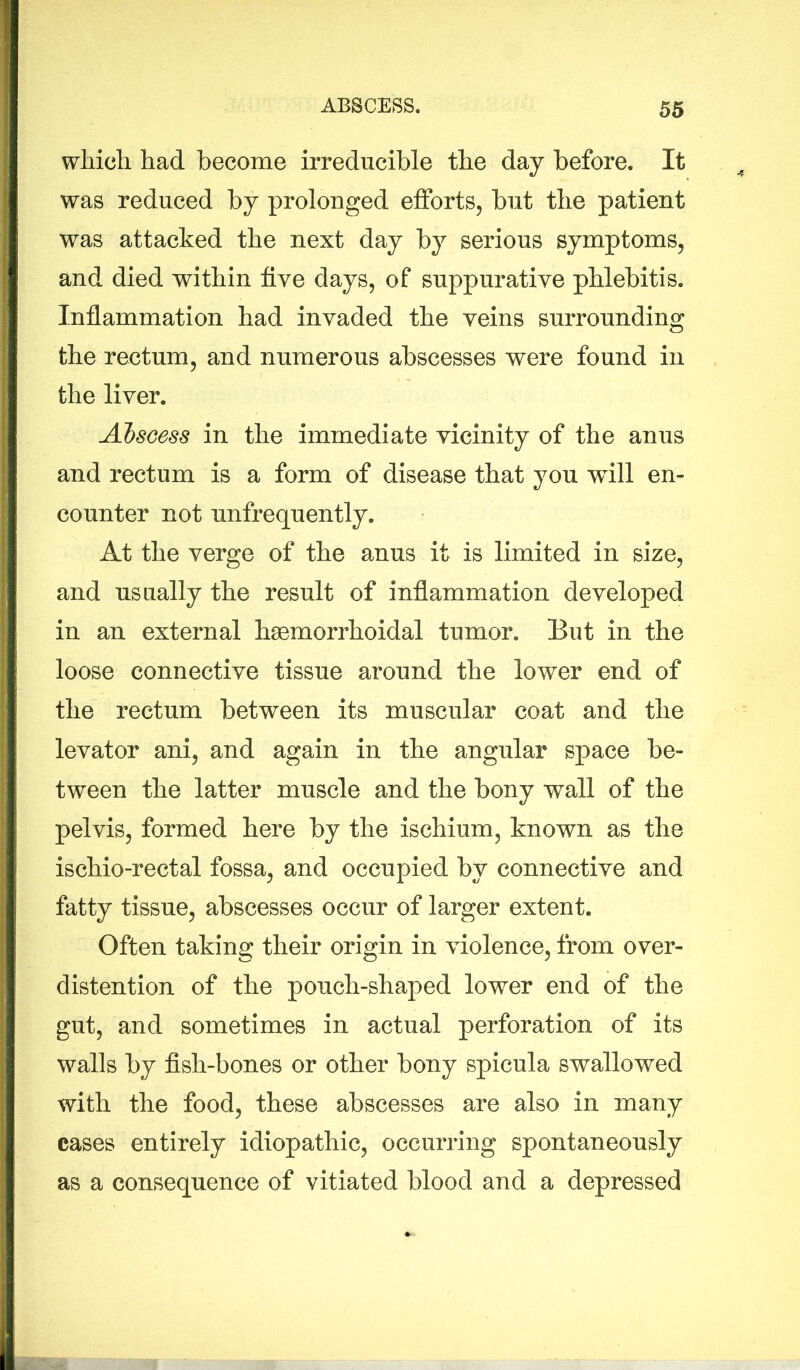 which, had become irreducible the day before. It was reduced by prolonged efforts, but the patient was attacked the next day by serious symptoms, and died within five days, of suppurative phlebitis. Inflammation had invaded the veins surrounding the rectum, and numerous abscesses were found in the liver. Abscess in the immediate vicinity of the anus and rectum is a form of disease that you will en- counter not unfrequently. At the verge of the anus it is limited in size, and usually the result of inflammation developed in an external hsemorrhoidal tumor. But in the loose connective tissue around the lower end of the rectum between its muscular coat and the levator ani, and again in the angular space be- tween the latter muscle and the bony wall of the pelvis, formed here by the ischium, known as the ischio-rectal fossa, and occupied by connective and fatty tissue, abscesses occur of larger extent. Often taking their origin in violence, from over- distention of the pouch-shaped lower end of the gut, and sometimes in actual perforation of its walls by fish-bones or other bony spicula swallowed with the food, these abscesses are also in many cases entirely idiopathic, occurring spontaneously as a consequence of vitiated blood and a depressed