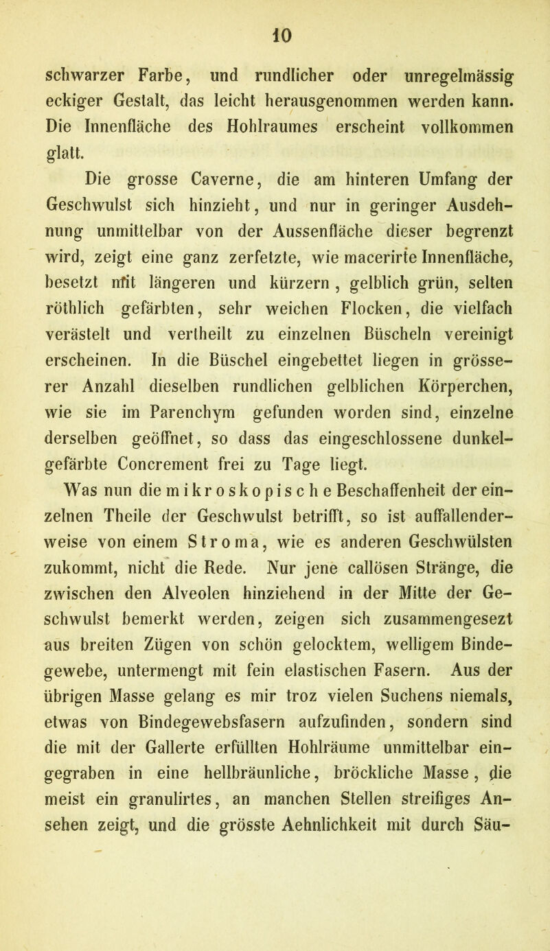 schwarzer Farbe, und rundlicher oder unregelmässig eckiger Gestalt, das leicht herausgenommen werden kann. Die Innenfläche des Hohlraumes erscheint vollkommen glatt. Die grosse Caverne, die am hinteren Umfang der Geschwulst sich hinzieht, und nur in geringer Ausdeh- nung unmittelbar von der Aussenfläche dieser begrenzt wird, zeigt eine ganz zerfetzte, wie macerirte Innenfläche, besetzt irfil längeren und kurzem , gelblich grün, selten röthlich gefärbten, sehr weichen Flocken, die vielfach verästelt und vertheilt zu einzelnen Büscheln vereinigt erscheinen. In die Büschel eingebettet liegen in grösse- rer Anzahl dieselben rundlichen gelblichen Körperchen, wie sie im Parenchym gefunden worden sind, einzelne derselben geöffnet, so dass das eingeschlossene dunkel- gefärbte Concrement frei zu Tage liegt. Was nun die m i k r o s k o p i s c h e Beschaffenheit der ein- zelnen Theile der Geschwulst betrifft, so ist auffallender- weise von einem Stroma, wie es anderen Geschwülsten zukommt, nicht die Rede. Nur jene callösen Stränge, die zwischen den Alveolen hinziehend in der Mitte der Ge- schwulst bemerkt werden, zeigen sich zusarnmengesezt aus breiten Zügen von schön gelocktem, welligem Binde- gewebe, untermengt mit fein elastischen Fasern. Aus der übrigen Masse gelang es mir troz vielen Suchens niemals, etwas von Bindegewebsfasern aufzufinden, sondern sind die mit der Gallerte erfüllten Hohlräume unmittelbar ein- gegraben in eine hellbräunliche, bröckliche Masse, die meist ein granulirtes, an manchen Stellen streifiges An- sehen zeigt, und die grösste Aehnlichkeit mit durch Säu-