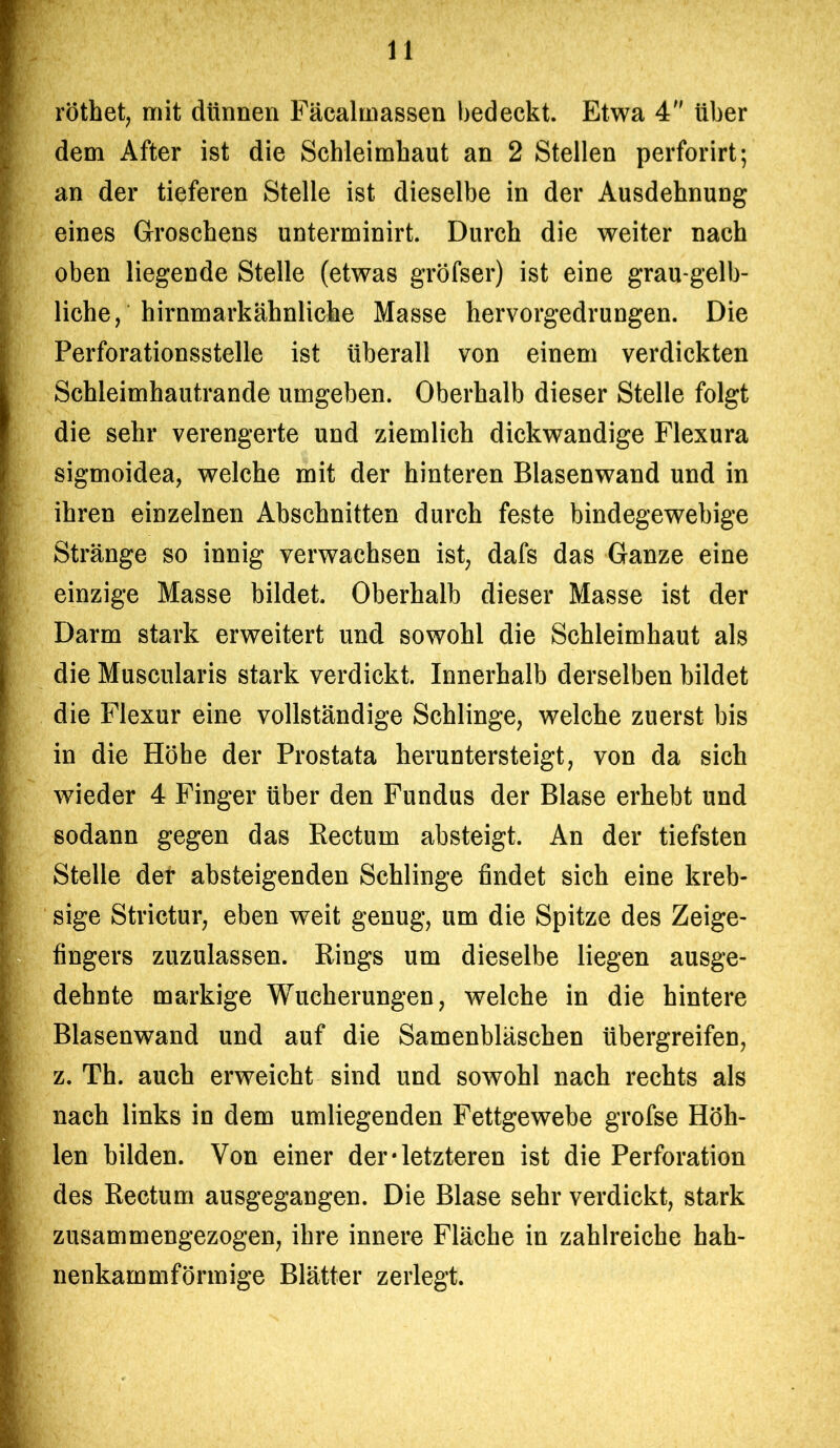 röthet, mit dünnen Fäcalmassen bedeckt. Etwa 4 über dem After ist die Schleimhaut an 2 Stellen perforirt; an der tieferen Stelle ist dieselbe in der Ausdehnung eines Groschens unterminirt. Durch die weiter nach oben liegende Stelle (etwas gröfser) ist eine grau-gelb- liche, hirnmarkähnliche Masse hervorgedrungen. Die Perforationsstelle ist überall von einem verdickten Schleimhautrande umgeben. Oberhalb dieser Stelle folgt die sehr verengerte und ziemlich dickwandige Flexura sigmoidea, welche mit der hinteren Blasenwand und in ihren einzelnen Abschnitten durch feste bindegewebige Stränge so innig verwachsen ist, dafs das Ganze eine einzige Masse bildet. Oberhalb dieser Masse ist der Darm stark erweitert und sowohl die Schleimhaut als die Muscularis stark verdickt. Innerhalb derselben bildet die Flexur eine vollständige Schlinge, welche zuerst bis in die Höhe der Prostata heruntersteigt, von da sich wieder 4 Finger über den Fundus der Blase erhebt und sodann gegen das Rectum absteigt. An der tiefsten Stelle der absteigenden Schlinge findet sich eine kreb- sige Strictur, eben weit genug, um die Spitze des Zeige- fingers zuzulassen. Rings um dieselbe liegen ausge- dehnte markige Wucherungen, welche in die hintere Blasenwand und auf die Samenbläschen übergreifen, z. Th. auch erweicht sind und sowohl nach rechts als nach links in dem umliegenden Fettgewebe grofse Höh- len bilden. Von einer der • letzteren ist die Perforation des Rectum ausgegangen. Die Blase sehr verdickt, stark zusammengezogen, ihre innere Fläche in zahlreiche hah- nenkammförmige Blätter zerlegt.