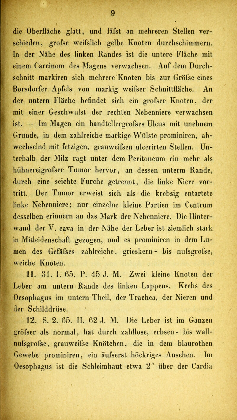 die Oberfläche glatt, und läfst an mehreren Stellen ver- schieden, grofse weifslich gelbe Knoten durchschiramern. In der Nähe des linken Randes ist die untere Fläche mit einem Carcinom des Magens verwachsen. Auf dem Durch- schnitt markiren sich mehrere Knoten bis zur Gröfse eines Borsdorfer Apfels von markig weifser Schnittfläche. An der untern Fläche befindet sich ein grofser Knoten, der mit einer Geschwulst der rechten Nebenniere verwachsen ist. — Im Magen ein handtellergrofses Ulcus mit unebnem Grunde, in dem zahlreiche markige Wülste prominiren, ab- wechselnd mit fetzigen, grauweifsen ulcerirten Stellen. Un- terhalb der Milz ragt unter dem Peritoneum ein mehr als hühnereigrofser Tumor hervor, an dessen unterm Rande, durch eine seichte Furche getrennt, die linke Niere vor- tritt. Der Tumor erweist sich als die krebsig entartete linke Nebenniere; nur einzelne kleine Partien im Centrum desselben erinnern an das Mark der Nebenniere. Die Hinter- wand der V. cava in der Nähe der Leber ist ziemlich stark in Mitleidenschaft gezogen, und es prominiren in dem Lu- men des Gefäfses zahlreiche, grieskern- bis nufsgrofse, weiche Knoten. 11. 31. 1. 65. P. 45 J. M. Zwei kleine Knoten der Leber am untern Rande des linken Lappens. Krebs des Oesophagus im untern Theil, der Trachea, der Nieren und der Schilddrüse. 12. 8. 2. 65. H. 62 J. M. Die Leber ist im Ganzen gröfser als normal, hat durch zahllose, erbsen- bis wall- nufsgrofse, grauweifse Knötchen, die in dem blaurothen Gewebe prominiren, ein äufserst höckriges Ansehen. Im Oesophagus ist die Schleimhaut etwa 2 über der Cardia