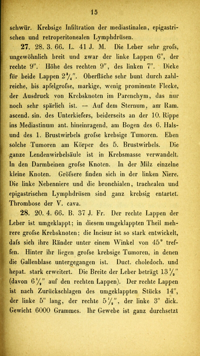 schwür. Krebsige Infiltration der mediastinalen, epigastri- schen und retroperitonealen Lymphdrüsen. 27. 28. 3. 66. L. 41 J. M. Die Leber sehr grofs, ungewöhnlich breit und zwar der linke Lappen 6, der rechte 9. Höhe des rechten 9”, des linken 7. Dicke für beide Lappen 23/4. Oberfläche sehr bunt durch zahl- reiche, bis apfelgrofse, markige, wenig prominente Flecke, der Ausdruck von Krebsknoten im Parenchym, das nur noch sehr spärlich ist. — Auf dem Sternum, am* Ram. ascend. sin. des Unterkiefers, beiderseits an der 10. Rippe ins Mediastinum ant. hineinragend, am Bogen des 6. Hais- und des 1. Brustwirbels grofse krebsige Tumoren. Eben solche Tumoren am Körper des 5. Brustwirbels. Die ganze Lendenwirbelsäule ist in Krebsmasse verwandelt. In den Darmbeinen grofse Knoten. In der Milz einzelne kleine Knoten. Gröfsere finden sich in der linken Niere. Die linke Nebenniere und die bronchialen, trachealen und epigastrischen Lymphdrüsen sind ganz krebsig entartet. Thrombose der V. cava. 28. 20. 4. 66. B. 37 J. Fr. Der rechte Lappen der Leber ist umgeklappt; in diesem umgeklappten Theil meh- rere grofse Krebsknoten; die Incisur ist so stark entwickelt, dafs sich ihre Ränder unter einem Winkel von 45° tref- fen. Hinter ihr liegen grofse krebsige Tumoren, in denen die Gallenblase untergegangen ist. Duct. choledoch. und hepat. stark erweitert. Die Breite der Leber beträgt 13x/ (davon ß/9n auf den rechten Lappen). Der rechte Lappen ist nach Zurückschlagen des umgeklappten Stücks 14, der linke 5 lang, der rechte 5J/a, der linke 3 dick. Gewicht 6000 Grammes. Ihr Gewebe ist ganz durchsetzt