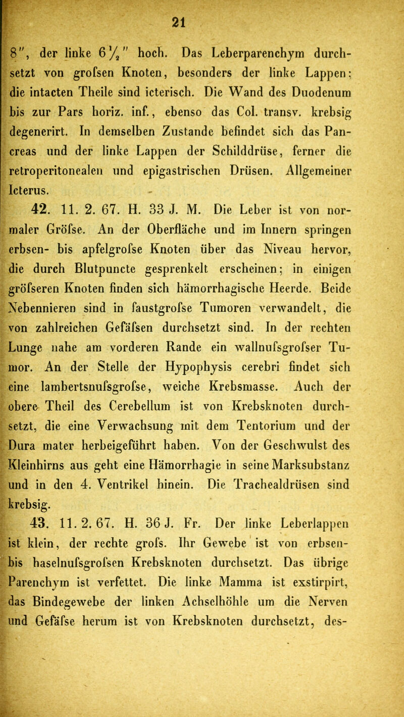 8, der linke 6%” hoch. Das Leberparenchym durch- setzt von grofsen Knoten, besonders der linke Lappen; die intacten Theile sind icterisch. Die Wand des Duodenum bis zur Pars horiz. inf., ebenso das Col. transv. krebsig degenerirt. In demselben Zustande befindet sich das Pan- creas und der linke Lappen der Schilddrüse, ferner die retroperitonealen und epigastrischen Drüsen. Allgemeiner Icterus. 42. 11. 2. 67. H. 33 J. M. Die Leber ist von nor- maler Gröfse. An der Oberfläche und im Innern springen erbsen- bis apfelgrofse Knoten über das Niveau hervor, die durch Blutpuncte gesprenkelt erscheinen; in einigen gröfseren Knoten finden sich hämorrhagische Heerde. Beide Nebennieren sind in faustgrofse Tumoren verwandelt, die von zahlreichen Gefäfsen durchsetzt sind. In der rechten Lunge nahe am vorderen Rande ein wallnufsgrofser Tu- mor. An der Stelle der Hypophysis cerebri findet sich eine lambertsnufsgrofse, weiche Krebsmasse. Auch der oberfr Theil des Cerebellum ist von Krebsknoten durch- setzt, die eine Verwachsung mit dem Tentorium und der Dura mater herbeigeführt haben. Von der Geschwulst des Kleinhirns aus geht eine Hämorrhagie in seine Marksubstanz und in den 4. Ventrikel hinein. Die Trachealdrüsen sind krebsig. 43. 11.2.67. H. 36 J. Fr. Der linke Leberlappen ist klein, der rechte grofs. Ihr Gewebe ist von erbsen- bis haselnufsgrofsen Krebsknoten durchsetzt. Das übrige Parenchym ist verfettet. Die linke Mamma ist exstirpirt, das Bindegewebe der linken Achselhöhle um die Nerven und Gefäfse herum ist von Krebsknoten durchsetzt, des-