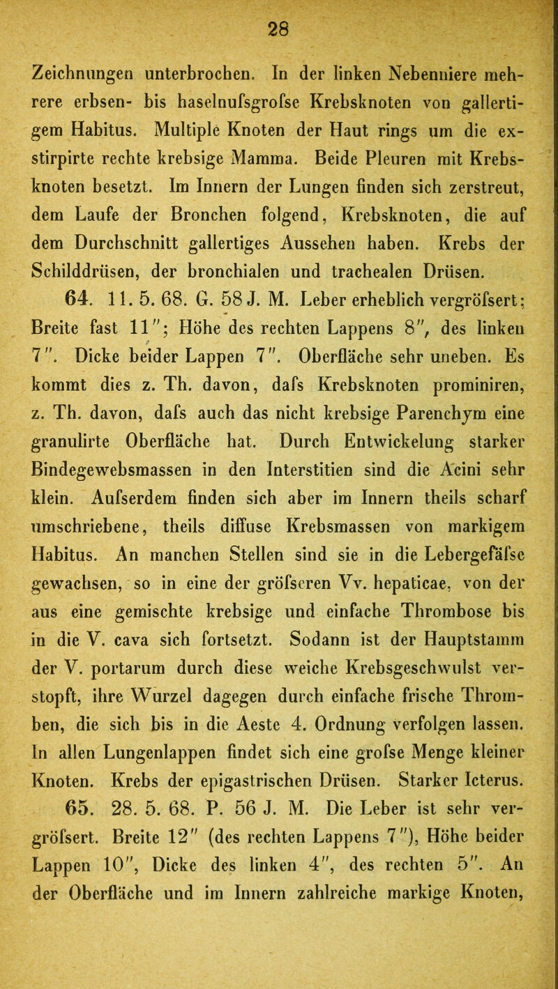 Zeichnungen unterbrochen. In der linken Nebenniere meh- rere erbsen- bis haselnufsgrofse Krebsknoten von gallerti- gem Habitus. Multiple Knoten der Haut rings um die ex- stirpirte rechte krebsige Mamma. Beide Pleuren mit Krebs- knoten besetzt. Im Innern der Lungen finden sich zerstreut, dem Laufe der Bronchen folgend, Krebsknoten, die auf dem Durchschnitt gallertiges Aussehen haben. Krebs der Schilddrüsen, der bronchialen und trachealen Drüsen. 64. 11. 5. 68. G. 58 J. M. Leber erheblich vergröfsert; Breite fast 11; Höhe des rechten Lappens 8, des linken 7. Dicke beider Lappen 7. Oberfläche sehr uneben. Es kommt dies z. Th. davon, dafs Krebsknoten prominiren, z. Th. davon, dafs auch das nicht krebsige Parenchym eine granulirte Oberfläche hat. Durch Entwickelung starker Bindegewebsmassen in den Interstitien sind die Acini sehr klein. Aufserdem finden sich aber im Innern theils scharf umschriebene, theils diffuse Krebsmassen von markigem Habitus. An manchen Stellen sind sie in die Lebergefäfse gewachsen, so in eine der gröfseren Vv. hepaticae, von der aus eine gemischte krebsige und einfache Thrombose bis in die V. cava sich fortsetzt. Sodann ist der Hauptstamm der V. portarum durch diese weiche Krebsgeschwulst ver- stopft, ihre Wurzel dagegen durch einfache frische Throm- ben, die sich bis in die Aeste 4. Ordnung verfolgen lassen, in allen Lungenlappen findet sich eine grofse Menge kleiner Knoten. Krebs der epigastrischen Drüsen. Starker Icterus. 65. 28. 5. 68. P. 56 J. M. Die Leber ist sehr ver- gröfsert. Breite 12 (des rechten Lappens 7), Höhe beider Lappen 10, Dicke des linken 4, des rechten 5. An der Oberfläche und im Innern zahlreiche markige Knoten,