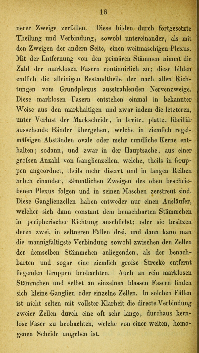 'S nerer Zweige zerfallen. Diese bilden durch fortgesetzte Theilung und Verbindung, sowohl untereinander, als mit den Zweigen der andern Seite, einen weitmaschigen Plexus. Mit der Entfernung von den primären Stämmen nimmt die Zahl der marklosen Fasern continuirlich zu; diese bilden endlich die alleinigen Bestandtheile der nach allen Rich- tungen vom Grundplexus ausstrahlenden Nervenzweige. Diese marklosen Fasern entstehen einmal in bekannter Weise aus den markhaltigen und zwar indem die letzteren, unter Verlust der Markscheide, in hreite, platte, fibrillär aussehende Bänder übergehen, welche in ziemlich regel- mäfsigen Abständen ovale oder mehr rundliche Kerne ent- halten; sodann, und zwar in der Hauptsache, aus einer grofsen Anzahl von Ganglienzellen, welche, theils in Grup- pen angeordnet, theils mehr discret und in langen Reihen neben einander, sämmtlichen Zweigen des oben beschrie- benen Plexus folgen und in seinen Maschen zerstreut sind. Diese Ganglienzellen haben entweder nur einen Ausläufer, welcher sich dann constant dem benachbarten StämmcheU in peripherischer Richtung anschliefst; oder sie besitzen deren zwei, in seltneren Fällen drei, und dann kann man die mannigfaltigste Verbindung sowohl zwischen den Zellen der demselben Stämmchen anliegenden, als der benach- barten und sogar eine ziemlich grofse Strecke entfernt liegenden Gruppen beobachten. Auch an rein marklosen i Stämmchen und selbst an einzelnen blassen Fasern finden | sich kleine Ganglien oder einzelne Zellen. In solchen Fällen i ist nicht selten mit vollster Klarheit die directe Verbindung zweier Zellen durch eine oft sehr lange, durchaus kern- lose Faser zu beobachten, welche von einer weiten, homo- ! genen Scheide umgeben ist. |