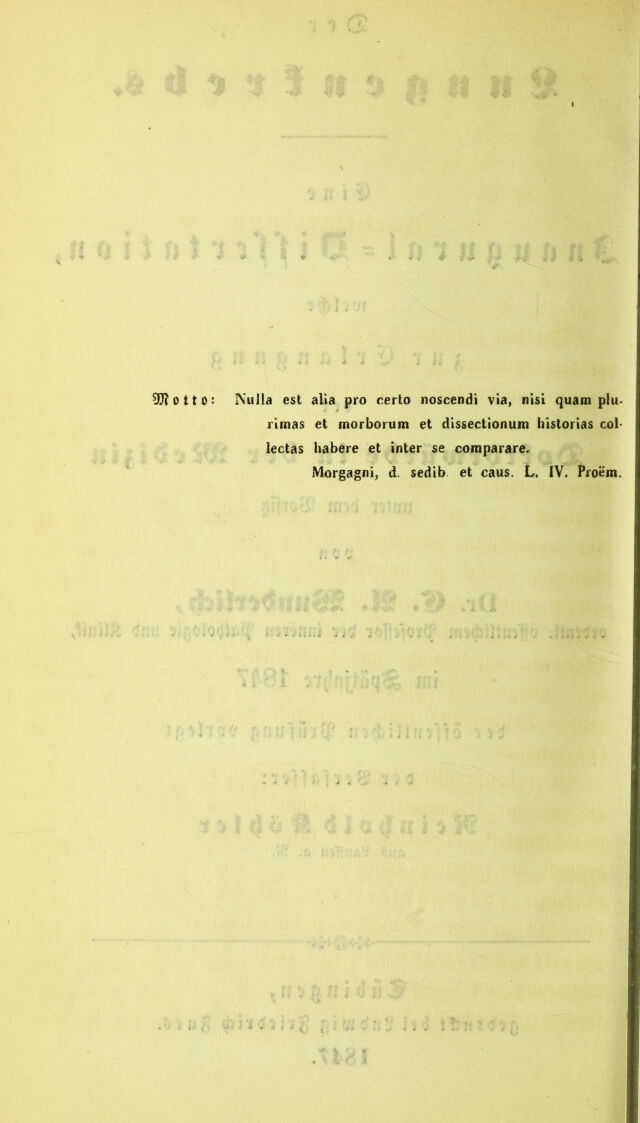digitised image 2