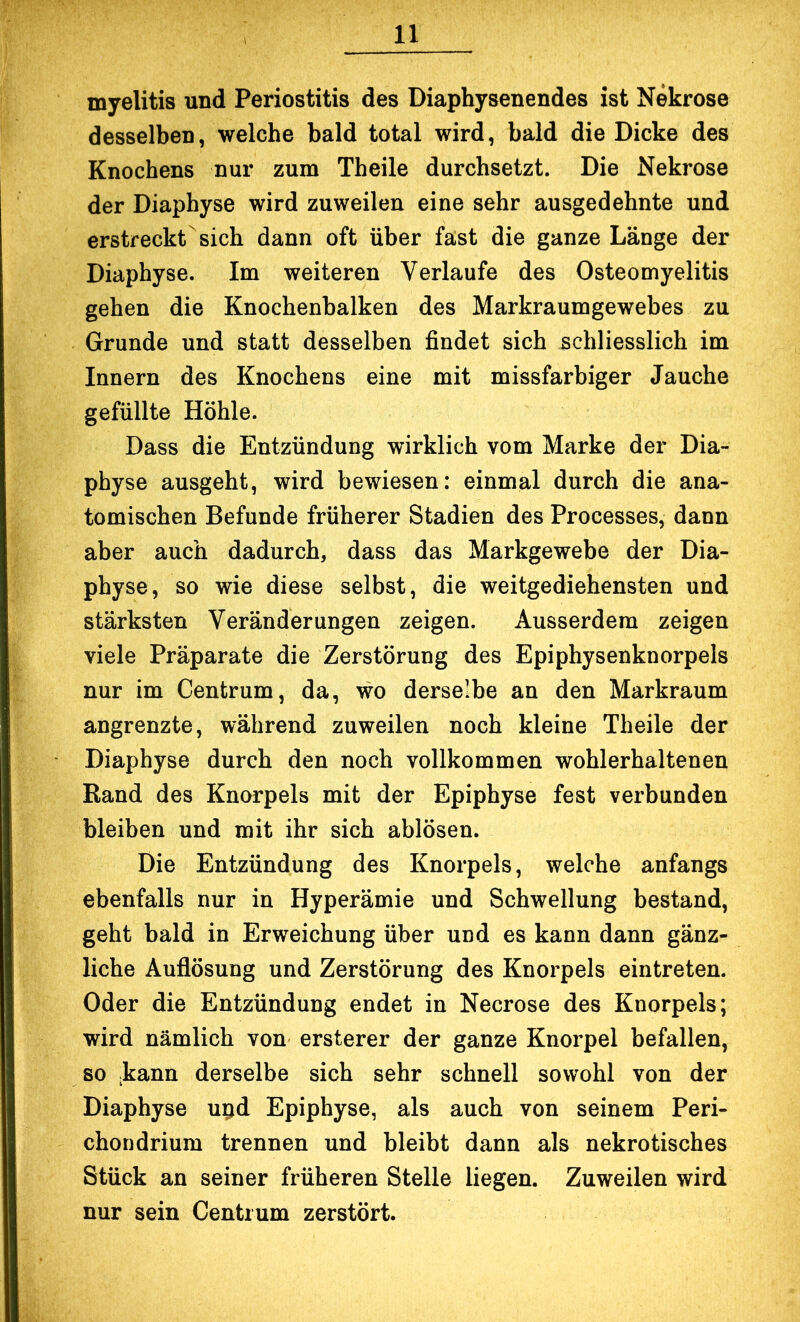 myelitis und Periostitis des Diaphysenendes ist Nekrose desselben, welche bald total wird, bald die Dicke des Knochens nur zum Theile durchsetzt. Die Nekrose der Diaphyse wird zuweilen eine sehr ausgedehnte und erstreckt sich dann oft über fast die ganze Länge der Diaphyse. Im weiteren Verlaufe des Osteomyelitis gehen die Knochenbalken des Markraumgewebes zu Grunde und statt desselben findet sich schliesslich im Innern des Knochens eine mit missfarbiger Jauche gefüllte Höhle. Dass die Entzündung wirklich vom Marke der Dia- physe ausgeht, wird bewiesen: einmal durch die ana- tomischen Befunde früherer Stadien des Processes, dann aber auch dadurch, dass das Markgewebe der Dia- physe, so wie diese selbst, die weitgediehensten und stärksten Veränderungen zeigen. Ausserdem zeigen viele Präparate die Zerstörung des Epiphysenknorpels nur im Centrum, da, wo derselbe an den Markraum angrenzte, während zuweilen noch kleine Theile der Diaphyse durch den noch vollkommen wohlerhaltenen Rand des Knorpels mit der Epiphyse fest verbunden bleiben und mit ihr sich ablösen. Die Entzündung des Knorpels, welche anfangs ebenfalls nur in Hyperämie und Schwellung bestand, geht bald in Erweichung über und es kann dann gänz- liche Auflösung und Zerstörung des Knorpels eintreten. Oder die Entzündung endet in Necrose des Knorpels; wird nämlich von ersterer der ganze Knorpel befallen, so .kann derselbe sich sehr schnell sowohl von der Diaphyse u^d Epiphyse, als auch von seinem Peri- chondrium trennen und bleibt dann als nekrotisches Stück an seiner früheren Stelle liegen. Zuweilen wird nur sein Centrum zerstört.