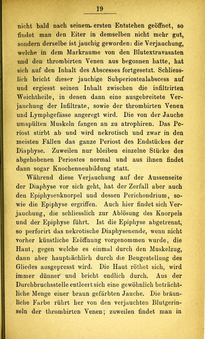 nicht bald nach seinem-ersten Entstehen geöffnet, so hndet man den Eiter in demselben nicht mehr gut, sondern derselbe ist jauchig geworden: die Verjauchung, welche in dem Markraume von den Blutextravasaten und den thrombirten Venen aus begonnen hatte, hat sich auf den Inhalt des Abscesses fortgesetzt. Schliess- lich bricht dieser jauchige Subperiostealabscess auf und ergiesst seinen Inhalt zwischen die infiltrirten Weichtheile, in denen dann eine ausgebreitete Ver- jauchung der Infiltrate, sowie der thrombirten Venen und Lyraphgefässe angeregt wird. Die von der Jauche umspülten Muskeln fangen an zu atrophiren. Das Pe- riost stirbt ab und wird nekrotisch und zwar in den meisten Fällen das ganze Periost des Endstückes der Diaphyse. Zuweilen nur bleiben einzelne Stücke des abgehobenen Periostes normal und aus ihnen findet dann sogar Knochenneubildung statt. Während diese Verjauchung auf der Aussenseite der Diaphyse vor sich geht, hat der Zerfall aber auch den Epiphysenknorpel und dessen Perichondrium, so- wie die Epiphyse ergriffen. Auch hier findet sich Ver- jauchung, die schliesslich zur x\blösung des Knorpels und der Epiphyse führt. Ist die Epiphyse abgetrennt, so perforirt das nekrotische Diaphysenende, wenn nicht vorher künstliche Eröffnung vorgenommen wurde, die Haut, gegen welche es einmal durch den Muskelzug, dann aber hauptsächlich durch die Beugestellung des Gliedes ausgepresst wird. Die Haut röthet sich, wird immer dünner und bricht endlich durch. Aus der Durchbruchsstelle entleert sich eine gewöhnlich beträcht- liche Menge einer braun gefärbten Jauche. Die bräun- liche Farbe rührt her von den verjauchten Blutgerin- seln der thrombirten Venen; zuweilen findet man in