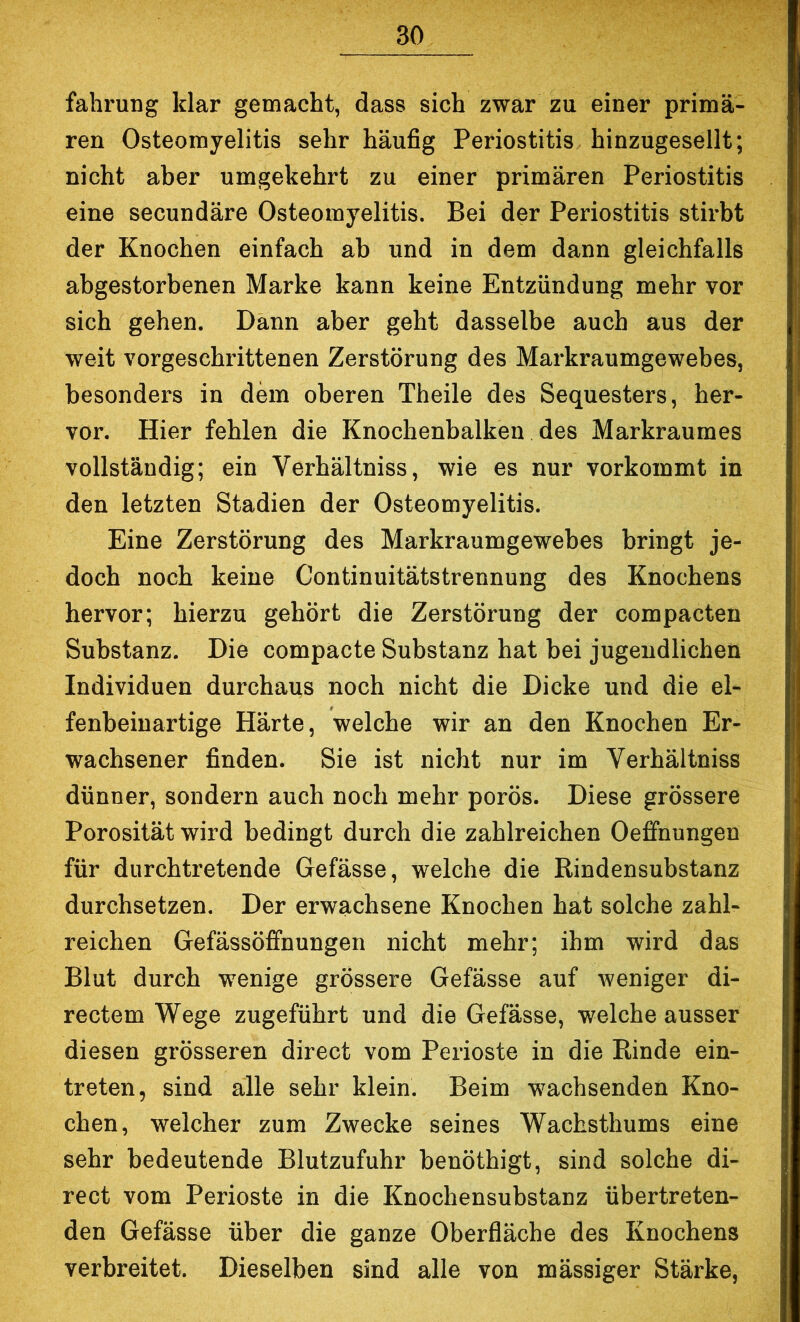 fahrung klar gemacht, dass sich zwar zu einer primä- ren Osteomyelitis sehr häufig Periostitis hinzugesellt; nicht aber umgekehrt zu einer primären Periostitis eine secundäre Osteomyelitis. Bei der Periostitis stirbt der Knochen einfach ab und in dem dann gleichfalls abgestorbenen Marke kann keine Entzündung mehr vor sich gehen. Dann aber geht dasselbe auch aus der weit vorgeschrittenen Zerstörung des Markraumgewebes, besonders in dem oberen Theile des Sequesters, her- vor. Hier fehlen die Knochenbalken des Markraumes vollständig; ein Verhältniss, wie es nur vorkommt in den letzten Stadien der Osteomyelitis. Eine Zerstörung des Markraumgewebes bringt je- doch noch keine Continuitätstrennung des Knochens hervor; hierzu gehört die Zerstörung der compacten Substanz. Die compacte Substanz hat bei jugendlichen Individuen durchaus noch nicht die Dicke und die el- fenbeinartige Härte, welche wir an den Knochen Er- wachsener finden. Sie ist nicht nur im Verhältniss dünner, sondern auch noch mehr porös. Diese grössere Porosität wird bedingt durch die zahlreichen Oefifnungen für durchtretende Gefässe, welche die Rindensubstanz durchsetzen. Der erwachsene Knochen hat solche zahl- reichen Gefässöffnungen nicht mehr; ihm wird das Blut durch wenige grössere Gefässe auf weniger di- rectem Wege zugeführt und die Gefässe, welche ausser diesen grösseren direct vom Perioste in die Rinde ein- treten, sind alle sehr klein. Beim wachsenden Kno- chen, welcher zum Zwecke seines Wachsthums eine sehr bedeutende Blutzufuhr benöthigt, sind solche di- rect vom Perioste in die Knochensubstanz übertreten- den Gefässe über die ganze Oberfläche des Knochens verbreitet. Dieselben sind alle von massiger Stärke,