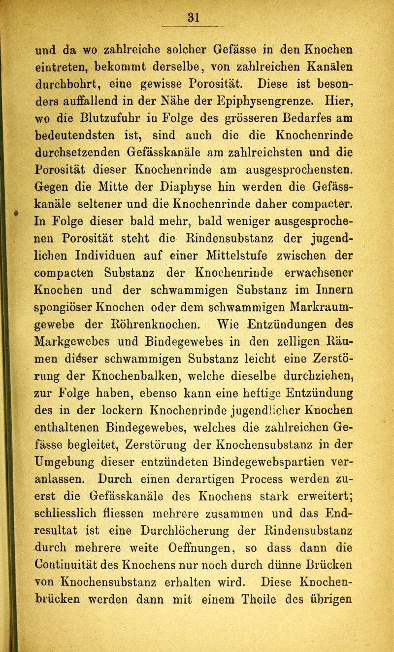 und da wo zahlreiche solcher Gefässe in den Knochen eintreten, bekommt derselbe, von zahlreichen Kanälen durchbohrt, eine gewisse Porosität. Diese ist beson- ders auffallend in der Nähe der Epiphysengrenze. Hier, wo die Blutzufuhr in Folge des grösseren Bedarfes am bedeutendsten ist, sind auch die die Knochenrinde durchsetzenden Gefässkanäle am zahlreichsten und die Porosität dieser Knochenrinde am ausgesprochensten. Gegen die Mitte der Diaphyse hin werden die Gefäss- kanäle seltener und die Knochenrinde daher compacter. In Folge dieser bald mehr, bald weniger ausgesproche- nen Porosität steht die Rindensubstanz der jugend- lichen Individuen auf einer Mittelstufe zwischen der compacten Substanz der Knochenrinde erwachsener Knochen und der schwammigen Substanz im Innern spongiöser Knochen oder dem schwammigen Markraum- gewebe der Röhrenknochen. Wie Entzündungen des Markgewebes und Bindegewebes in den zelligen Räu- men didser schwammigen Substanz leicht eine Zerstö- rung der Knochenbalken, welche dieselbe durchziehen, zur Folge haben, ebenso kann eine heftige Entzündung des in der lockern Knochenrinde jugendlicher Knochen enthaltenen Bindegewebes, welches die zahlreichen Ge- fässe begleitet, Zerstörung der Knochensubstanz in der Umgebung dieser entzündeten Bindegewebspartien ver- anlassen. Durch einen derartigen Process werden zu- erst die Gefässkanäle des Knochens stark erweitert; schliesslich fliessen mehrere zusammen und das End- resultat ist eine Durchlöcherung der Rindensubstanz durch mehrere weite Oeffnungen, so dass dann die Continuität des Knochens nur noch durch dünne Brücken von Knochensubstanz erhalten wird. Diese Knochen- brücken werden dann mit einem Theile des übrigen