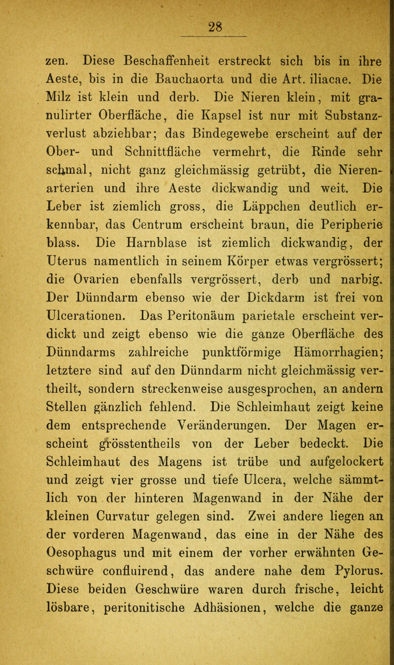 zen. Diese Beschaffenheit erstreckt sich bis in ihre Aeste, bis in die Bauchaorta und die Art. iliacae. Die Milz ist klein und derb. Die Nieren klein, mit gra- nulirter Oberfläche, die Kapsel ist nur mit Substanz- verlust abziehbar; das Bindegewebe erscheint auf der Ober- und Schnittfläche vermehrt, die Rinde sehr schnial, nicht ganz gleichmässig getrübt, die Nieren- arterien und ihre Aeste dickwandig und weit. Die Leber ist ziemlich gross, die Läppchen deutlich er- kennbar, das Centrum erscheint braun, die Peripherie blass. Die Harnblase ist ziemlich dickwandig, der Uterus namentlich in seinem Körper etwas vergrössert; die Ovarien ebenfalls vergrössert, derb und narbig. Der Dünndarm ebenso wie der Dickdarm ist frei von Ulcerationen. Das Peritonäum parietale erscheint ver- dickt und zeigt ebenso wie die ganze Oberfläche des Dünndarms zahlreiche punktförmige Hämorrhagien; letztere sind auf den Dünndarm nicht gleichmässig ver- theilt, sondern streckenweise ausgesprochen^ an andern Stellen gänzlich fehlend. Die Schleimhaut zeigt keine dem entsprechende Veränderungen. Der Magen er- scheint ^össtentheils von der Leber bedeckt. Die Schleimhaut des Magens ist trübe und aufgelockert und zeigt vier grosse und tiefe ülcera, welche sämmt- lich von der hinteren Magenwand in der Nähe der kleinen Curvatur gelegen sind. Zwei andere liegen an der vorderen Magenwand, das eine in der Nähe des Oesophagus und mit einem der vorher erwähnten Ge- schwüre confluirend, das andere nahe dem Pylorus. Diese beiden Geschwüre waren durch frische, leicht lösbare, peritonitische Adhäsionen, welche die ganze