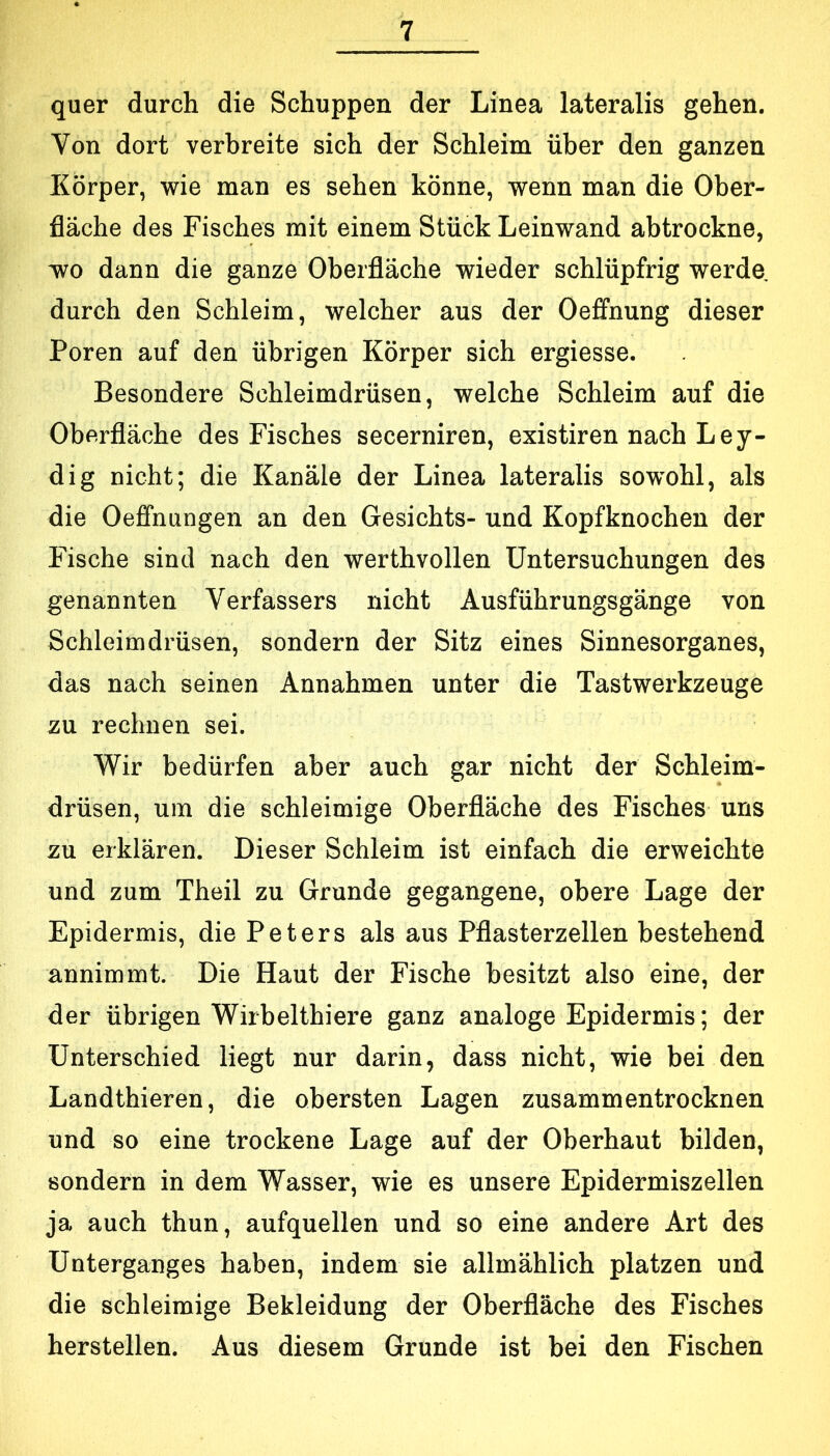 quer durch die Schuppen der Linea lateralis gehen. Von dort verbreite sich der Schleim über den ganzen Körper, wie man es sehen könne, wenn man die Ober- fläche des Fisches mit einem Stück Leinwand abtrockne, wo dann die ganze Oberfläche wieder schlüpfrig werde durch den Schleim, welcher aus der Oeffnung dieser Poren auf den übrigen Körper sich ergiesse. Besondere Schleimdrüsen, welche Schleim auf die Oberfläche des Fisches secerniren, existiren nach Ley- dig nicht; die Kanäle der Linea lateralis sowohl, als die Oefifnungen an den Gesichts- und Kopfknochen der Fische sind nach den werthvollen Untersuchungen des genannten Verfassers nicht Ausführungsgänge von Schleimdrüsen, sondern der Sitz eines Sinnesorganes, das nach seinen Annahmen unter die Tastwerkzeuge zu rechnen sei. Wir bedürfen aber auch gar nicht der Schleim- drüsen, um die schleimige Oberfläche des Fisches uns zu erklären. Dieser Schleim ist einfach die erweichte und zum Theil zu Grunde gegangene, obere Lage der Epidermis, die Peters als aus Pflasterzellen bestehend annimmt. Die Haut der Fische besitzt also eine, der der übrigen Wirbelthiere ganz analoge Epidermis; der Unterschied liegt nur darin, dass nicht, wie bei den Landthieren, die obersten Lagen zusammentrocknen und so eine trockene Lage auf der Oberhaut bilden, sondern in dem Wasser, wie es unsere Epidermiszellen ja auch thun, aufquellen und so eine andere Art des Unterganges haben, indem sie allmählich platzen und die schleimige Bekleidung der Oberfläche des Fisches herstellen. Aus diesem Grunde ist bei den Fischen