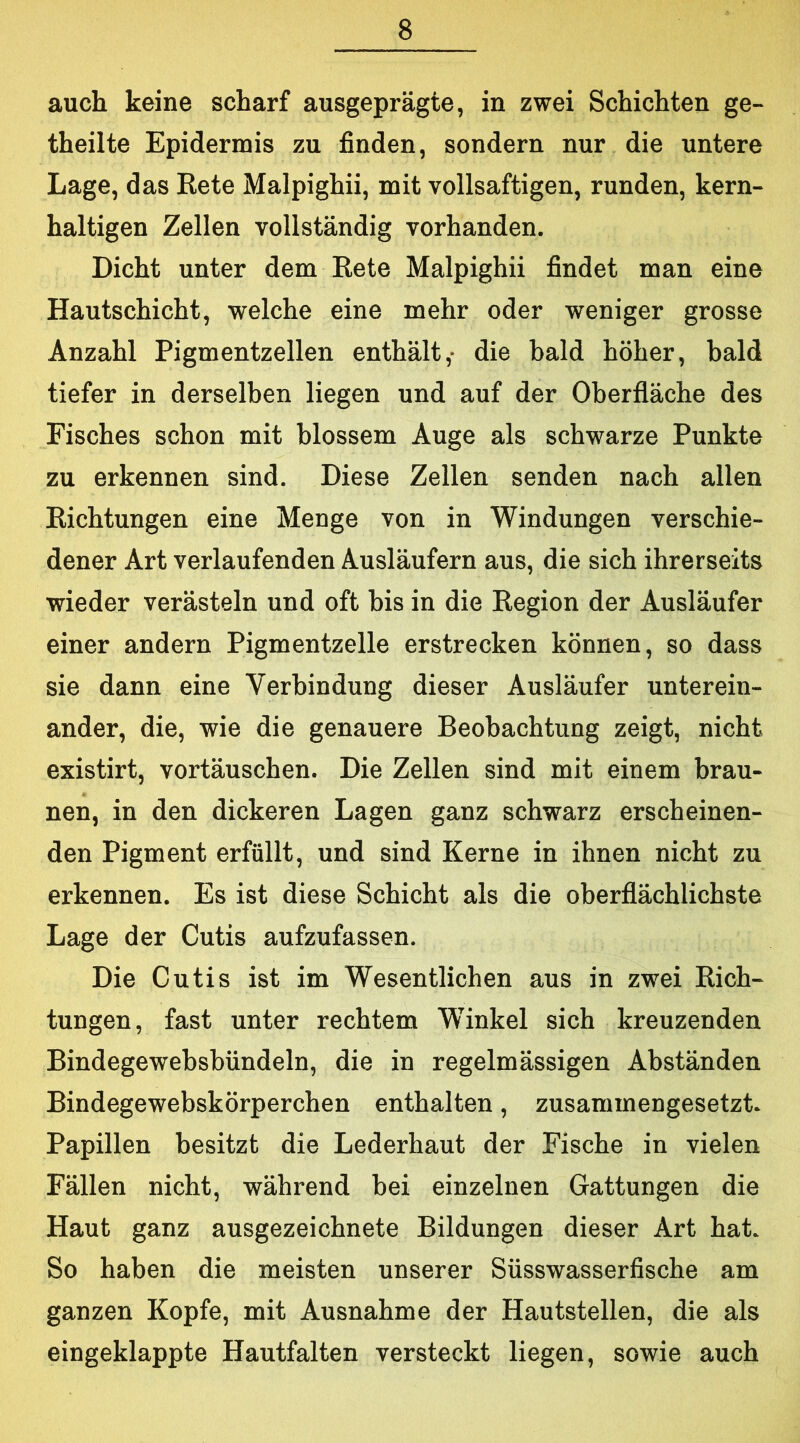 auch keine scharf ausgeprägte, in zwei Schichten ge- theilte Epidermis zu finden, sondern nur die untere Lage, das Rete Malpighii, mit vollsaftigen, runden, kern- haltigen Zellen vollständig vorhanden. Dicht unter dem Rete Malpighii findet man eine Hautschicht, welche eine mehr oder weniger grosse Anzahl Pigmentzellen enthält,- die bald höher, bald tiefer in derselben liegen und auf der Oberfläche des Fisches schon mit blossem Auge als schwarze Punkte zu erkennen sind. Diese Zellen senden nach allen Richtungen eine Menge von in Windungen verschie- dener Art verlaufenden Ausläufern aus, die sich ihrerseits wieder verästeln und oft bis in die Region der Ausläufer einer andern Pigmentzelle erstrecken können, so dass sie dann eine Verbindung dieser Ausläufer unterein- ander, die, wie die genauere Beobachtung zeigt, nicht existirt, Vortäuschen. Die Zellen sind mit einem brau- nen, in den dickeren Lagen ganz schwarz erscheinen- den Pigment erfüllt, und sind Kerne in ihnen nicht zu erkennen. Es ist diese Schicht als die oberflächlichste Lage der Cutis aufzufassen. Die Cutis ist im Wesentlichen aus in zwei Rich- tungen, fast unter rechtem W^inkel sich kreuzenden Bindegewebsbündeln, die in regelmässigen Abständen Bindegewebskörperchen enthalten, zusammengesetzt. Papillen besitzt die Lederhaut der Fische in vielen Fällen nicht, während bei einzelnen Gattungen die Haut ganz ausgezeichnete Bildungen dieser Art hat. So haben die meisten unserer Süsswasserfische am ganzen Kopfe, mit Ausnahme der Hautstellen, die als eingeklappte Hautfalten versteckt liegen, sowie auch