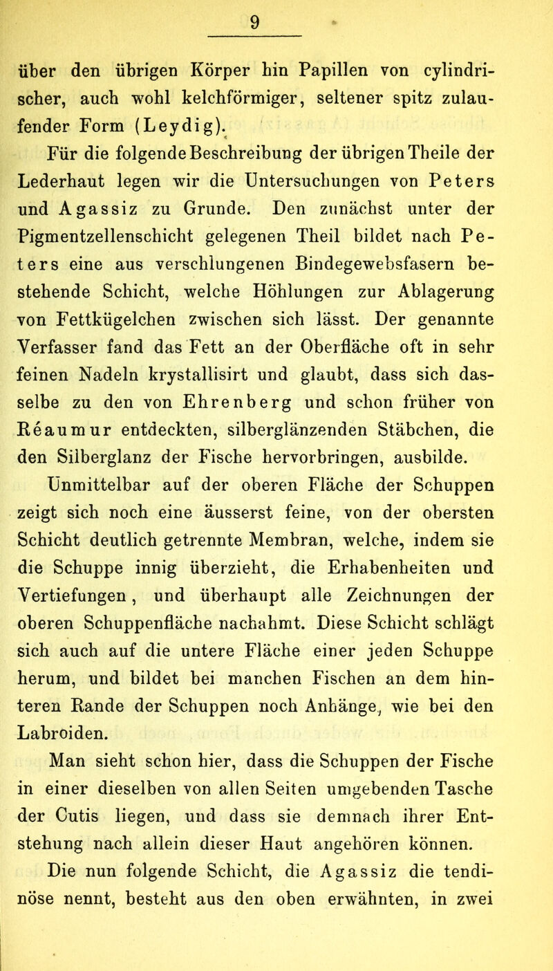 über den übrigen Körper hin Papillen von cylindri- scher, auch wohl kelchförmiger, seltener spitz zulau- fender Form (Leydig). Für die folgende Beschreibung der übrigen Theile der Lederhaut legen wir die Untersuchungen von Peters und Agassiz zu Grunde. Den zunächst unter der Pigmentzellenschicht gelegenen Theil bildet nach Pe- ters eine aus verschlungenen Bindegewebsfasern be- stehende Schicht, welche Höhlungen zur Ablagerung von Fettkügelchen zwischen sich lässt. Der genannte Verfasser fand das Fett an der Oberfläche oft in sehr feinen Nadeln krystallisirt und glaubt, dass sich das- selbe zu den von Ehrenberg und schon früher von Eeaumur entdeckten, silberglänzenden Stäbchen, die den Silberglanz der Fische hervorbringen, ausbilde. Unmittelbar auf der oberen Fläche der Schuppen zeigt sich noch eine äusserst feine, von der obersten Schicht deutlich getrennte Membran, welche, indem sie die Schuppe innig überzieht, die Erhabenheiten und Vertiefungen, und überhaupt alle Zeichnungen der oberen Schuppenfläche nachahmt. Diese Schicht schlägt sich auch auf die untere Fläche einer jeden Schuppe herum, und bildet bei manchen Fischen an dem hin- teren Rande der Schuppen noch Anhänge, wie bei den Labroiden. Man sieht schon hier, dass die Schuppen der Fische in einer dieselben von allen Seiten umgebenden Tasche der Cutis liegen, und dass sie demnach ihrer Ent- stehung nach allein dieser Haut angehören können. Die nun folgende Schicht, die Agassiz die tendi- nöse nennt, besteht aus den oben erwähnten, in zwei