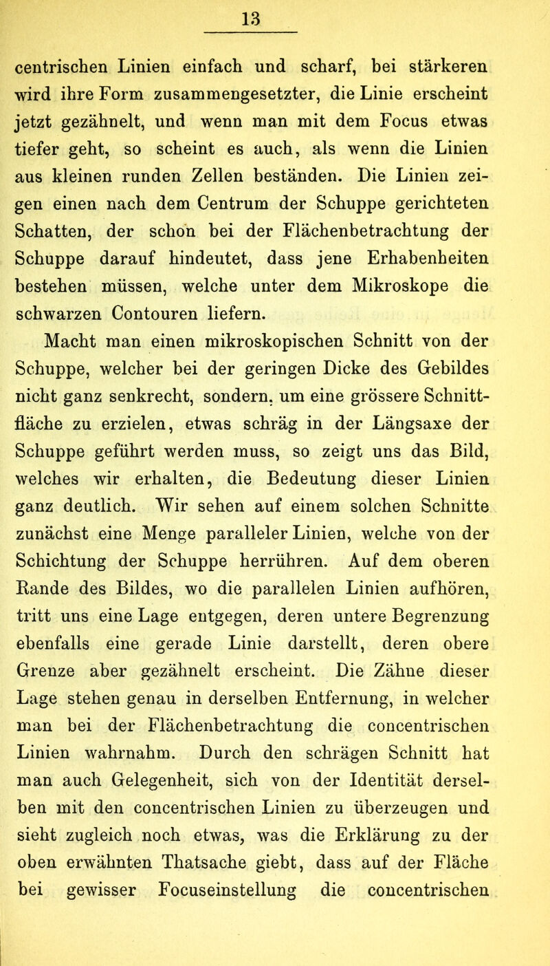 centrischen Linien einfach und scharf, bei stärkeren wird ihre Form zusammengesetzter, die Linie erscheint jetzt gezähnelt, und wenn man mit dem Focus etwas tiefer geht, so scheint es auch, als wenn die Linien aus kleinen runden Zellen beständen. Die Linien zei- gen einen nach dem Centrum der Schuppe gerichteten Schatten, der schon bei der Flächenbetrachtung der Schuppe darauf hindeutet, dass jene Erhabenheiten bestehen müssen, welche unter dem Mikroskope die schwarzen Contouren liefern. Macht man einen mikroskopischen Schnitt von der Schuppe, welcher bei der geringen Dicke des Gebildes nicht ganz senkrecht, sondern, um eine grössere Schnitt- fläche zu erzielen, etwas schräg in der Längsaxe der Schuppe geführt werden muss, so zeigt uns das Bild, welches wir erhalten, die Bedeutung dieser Linien ganz deutlich. Wir sehen auf einem solchen Schnitte zunächst eine Menge paralleler Linien, welche von der Schichtung der Schuppe herrühren. Auf dem oberen Rande des Bildes, wo die parallelen Linien aufhören, tritt uns eine Lage entgegen, deren untere Begrenzung ebenfalls eine gerade Linie darstellt, deren obere Grenze aber gezähnelt erscheint. Die Zähne dieser Lage stehen genau in derselben Entfernung, in welcher man bei der Flächenbetrachtung die concentrischen Linien wahrnahm. Durch den schrägen Schnitt hat man auch Gelegenheit, sich von der Identität dersel- ben mit den concentrischen Linien zu überzeugen und sieht zugleich noch etwas, was die Erklärung zu der oben erwähnten Thatsache giebt, dass auf der Fläche bei gewisser Focuseinstellung die concentrischen
