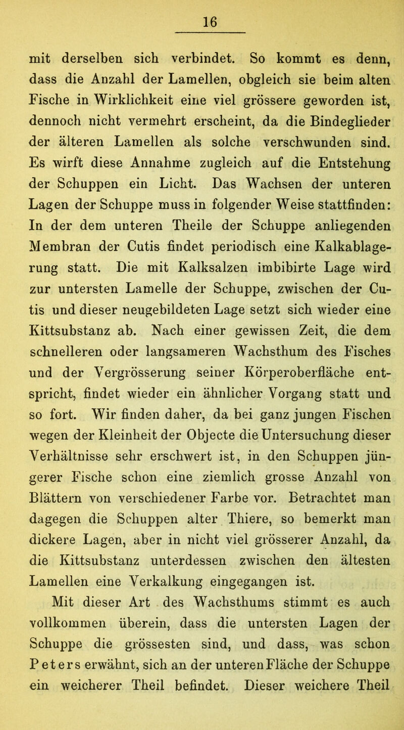 mit derselben sich verbindet. So kommt es denn, dass die Anzahl der Lamellen, obgleich sie beim alten Fische in Wirklichkeit eine viel grössere geworden ist, dennoch nicht vermehrt erscheint, da die Bindeglieder der älteren Lamellen als solche verschwunden sind. Es wirft diese Annahme zugleich auf die Entstehung der Schuppen ein Licht. Das Wachsen der unteren Lagen der Schuppe muss in folgender Weise stattfinden: In der dem unteren Theile der Schuppe anliegenden Membran der Cutis findet periodisch eine Kalkablage- rung statt. Die mit Kalksalzen imbibirte Lage wird zur untersten Lamelle der Schuppe, zwischen der Cu- tis und dieser neugebildeten Lage setzt sich wieder eine Kittsubstanz ab. Nach einer gewissen Zeit, die dem schnelleren oder langsameren Wachsthum des Fisches und der Vergrösserung seiner Körperoberfläche ent- spricht, findet wieder ein ähnlicher Vorgang statt und so fort. Wir finden daher, da bei ganz jungen Fischen wegen der Kleinheit der Objecte die Untersuchung dieser Verhältnisse sehr erschwert ist, in den Schuppen jün- gerer Fische schon eine ziemlich grosse Anzahl von Blättern von verschiedener Farbe vor. Betrachtet man dagegen die Schuppen alter Thiere, so bemerkt man dickere Lagen, aber in nicht viel grösserer Anzahl, da die Kittsubstanz unterdessen zwischen den ältesten Lamellen eine Verkalkung eingegangen ist. Mit dieser Art des Wachsthums stimmt es auch vollkommen überein, dass die untersten Lagen der Schuppe die grössesten sind, und dass, was schon Peters erwähnt, sich an der unteren Fläche der Schuppe ein weicherer Theil befindet. Dieser weichere Theil