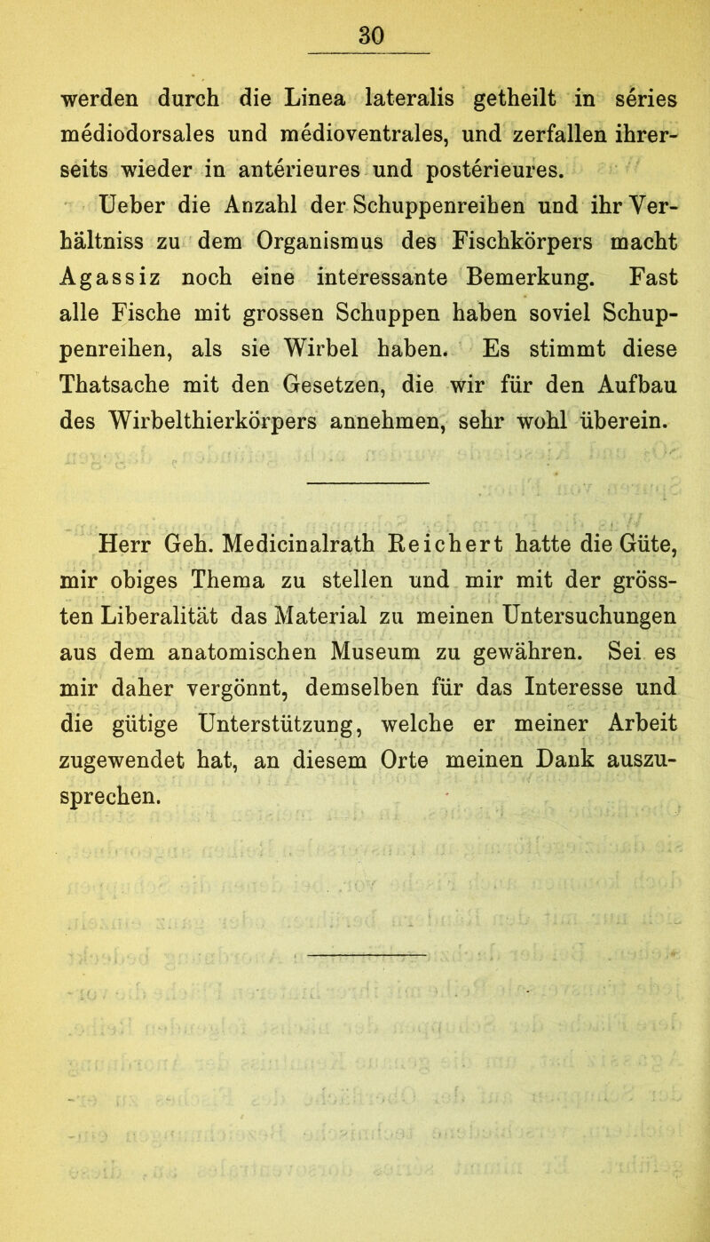 werden durch die Linea lateralis getheilt in series mediodorsales und medioventrales, und zerfallen ihrer- seits wieder in anterieures und posterieures. üeber die Anzahl der Schuppenreihen und ihr Ver- hältniss zu dem Organismus des Fischkörpers macht Agassiz noch eine interessante Bemerkung. Fast alle Fische mit grossen Schuppen haben soviel Schup- penreihen, als sie Wirbel haben. Es stimmt diese Thatsache mit den Gesetzen, die wir für den Aufbau des Wirbelthierkörpers annehmen, sehr wohl überein. Herr Geh. Medicinalrath Keichert hatte die Güte, mir obiges Thema zu stellen und mir mit der gröss- ten Liberalität das Material zu meinen Untersuchungen aus dem anatomischen Museum zu gewähren. Sei es mir daher vergönnt, demselben für das Interesse und die gütige Unterstützung, welche er meiner Arbeit zugewendet hat, an diesem Orte meinen Dank auszu- sprechen.