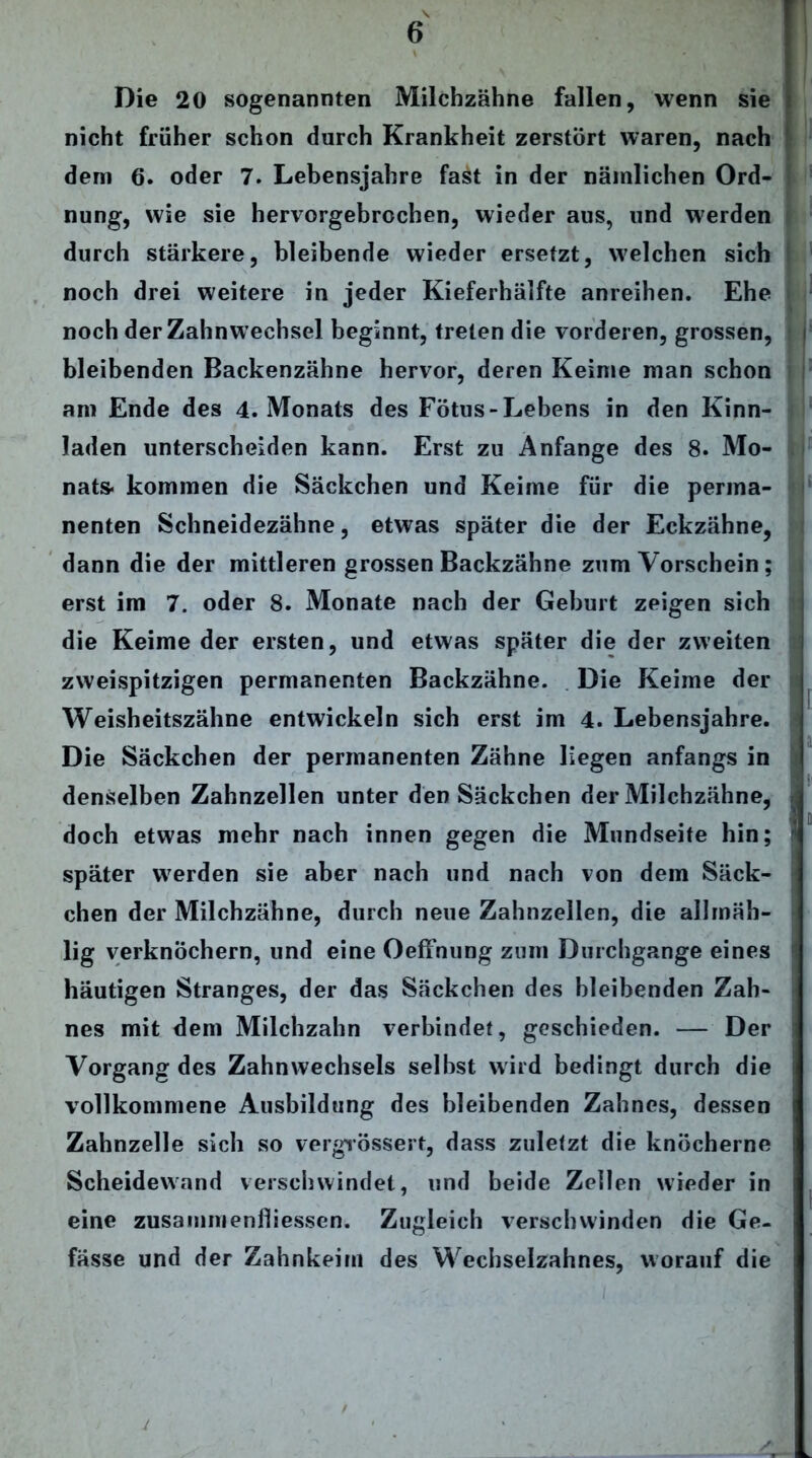 \ 6 Die 20 sogenannten Milchzähne fallen, wenn sie i nicht früher schon durch Krankheit zerstört waren, nach dem 6. oder 7. Lebensjahre fast in der nämlichen Ord- nung, wie sie hervorgebrochen, wieder aus, und werden durch stärkere, bleibende wieder ersetzt, welchen sich noch drei weitere in jeder Kieferhälfte anreihen. Ehe noch derZahnwechsel beginnt, treten die vorderen, grossen, i bleibenden Backenzähne hervor, deren Keime man schon am Ende des 4. Monats des Fötus-Lebens in den Kinn- laden unterscheiden kann. Erst zu Anfänge des 8. Mo- nats- kommen die Säckchen und Keime für die perma- nenten Schneidezähne, etwas später die der Eckzähne, dann die der mittleren grossen Backzähne zum Vorschein; erst im 7. oder 8. Monate nach der Geburt zeigen sich die Keime der ersten, und etwas später die der zweiten zweispitzigen permanenten Backzähne. Die Keime der Weisheitszähne entwickeln sich erst im 4. Lebensjahre. Die Säckchen der permanenten Zähne liegen anfangs in denselben Zahnzellen unter den Säckchen der Milchzähne, : doch etwas mehr nach innen gegen die Mundseite hin; J später werden sie aber nach und nach von dem Säck- chen der Milchzähne, durch neue Zahnzellen, die allmäh- lig verknöchern, und eine Oeffnung zum Durchgänge eines häutigen Stranges, der das Säckchen des bleibenden Zah- nes mit dem Milchzahn verbindet, geschieden. — Der Vorgang des Zahnwechsels selbst wird bedingt durch die vollkommene Ausbildung des bleibenden Zahnes, dessen i Zahnzelle sich so vergrössert, dass zuletzt die knöcherne Scheidewand verschwindet, und beide Zellen wieder in eine Zusammenflüssen. Zugleich verschwinden die Ge- fässe und der Zahnkeim des Wechselzahnes, worauf die