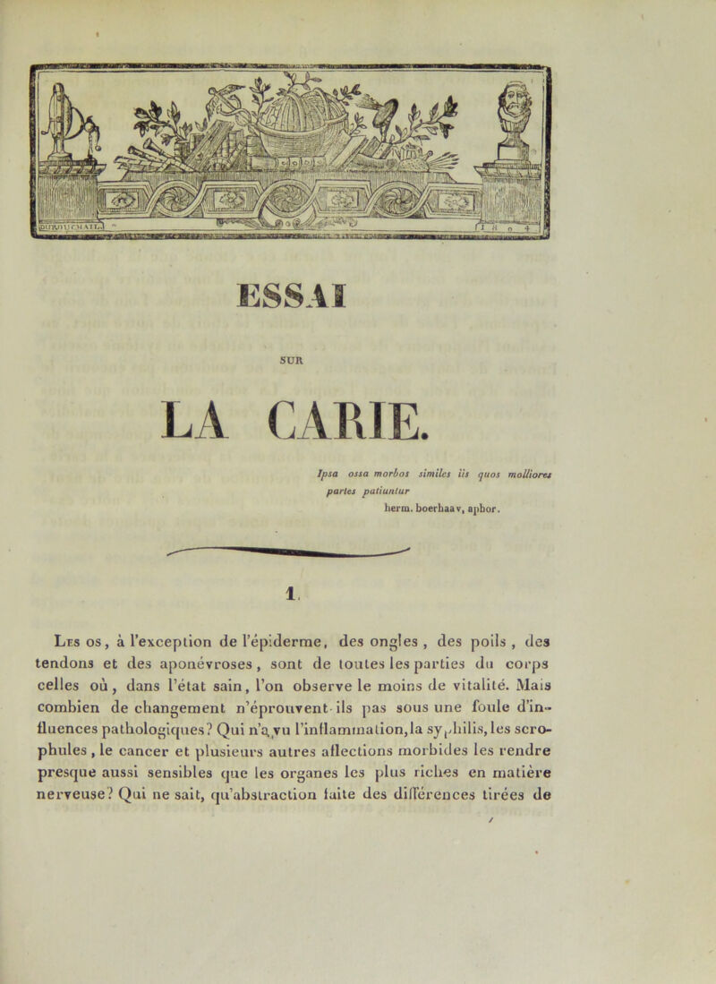 SUR Ipsa ossa morbos similcs iis quos molli ores parles patiuntur lierai, boerhaav, apbor. 1 Les os, à l’exception de l’épiderme, des ongles , des poils , des tendons et des aponévroses, sont de toutes les parties du corps celles où, dans l’état sain, l’on observe le moins de vitalité. Mais combien de changement n’éprouvent ils pas sous une foule d’in- fluences pathologiques? Qui n’q,vu l’inflammation,la syphilis,les scro- phules , le cancer et plusieurs autres aflections morbides les rendre presque aussi sensibles que les organes les plus riches en matière nerveuse? Qui ne sait, qu’abslraction fuite des différences tirées de ✓