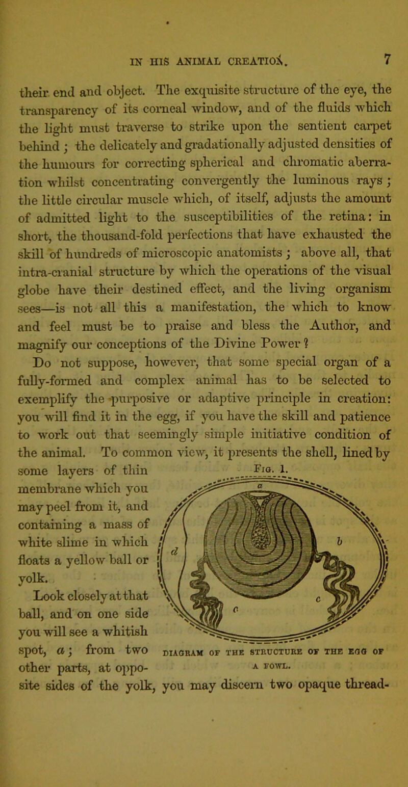 their, end and object. Tlie exquisite structiu’e of the eye, the transparency of its corneal window, and of the fluids which the light must traverse to strike upon the sentient cai-pet behind ; the delicately and gi-adationally adjusted densities of the humours for correcting spherical and chromatic aberra- tion whilst concentrating convergently the luminous rays ; tlie little circular muscle which, of itself, adjusts the amount of admitted light to the susceptibilities of the retina: in short, the thousand-fold perfections that have exhausted the skill of hundi-eds of microscopic anatomists ; above all, that intra-cranial structiu’e by which the operations of the visual globe have their destined effect, and the living organism sees—is not all this a manifestation, the which to know and feel must be to praise and bless the Author, and magnify our conceptions of the Divine Power ? Do not suppose, however, that some special organ of a fully-formed and complex animal has to be selected to exemplify the •purposive or adaptive principle in creation: you will And it in the egg, if you have the skill and patience to work out that seemingly simple initiative condition of the animal. To common view, it presents the shell, lined by some layers of thin membrane which you may peel from it, and containing a mass of white slime in which floats a yellow ball or yolk. Look closely at that ball, and on one side you will see a whitish spot, a from two diagram of the structure of the egg of other parts, at oppo- ^ fowl. site sides of the yolk, you may discern two opaque thi’ead-