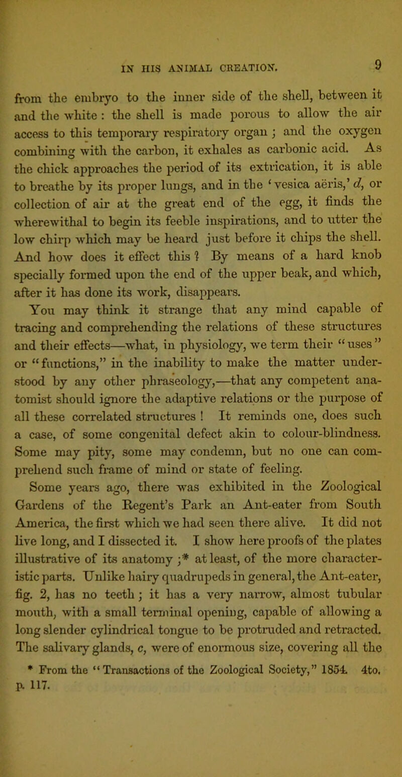 9 from the embryo to the inner side of the shell, between it and the white : the shell is made porous to allow the air access to this temporaiy respiratoiy organ ; and the oxygen combining with the carbon, it exhales as carbonic acid. As the chick approaches the period of its extiication, it is able to breathe by its pi’oper lungs, and in the ‘vesica aeris,’ c?, or collection of air at the great end of the egg, it finds the wherewithal to begin its feeble inspirations, and to utter the low chirp which may be heard just before it chips the shell. And how does it effect this ? By means of a hard knob specially formed upon the end of the upper beak, and which, after it has done its work, disappears. You may think it strange that any mind capable of tracing and comprehending the relations of these structures and their effects—what, in physiology, we term their “ uses ” or “functions,” in the inability to make the matter under- stood by any other phraseology,—^that any competent ana- tomist should ignore the adaptive relations or the purpose of all these correlated structures ! It reminds one, does such a case, of some congenital defect akin to colour-blindness. Some may pity, some may condemn, but no one can com- jirehend such frame of mind or state of feeling. Some years ago, there was exhibited in the Zoological Gardens of the Regent’s Park an Ant-eater from South Ameriea, the first which we had seen there alive. It did not live long, and I dissected it. I show here proofs of the plates illustrative of its anatomy at least, of the more character- istic parts. Unlike hairy quadrupeds in general, the Ant-eater, fig. 2, has no teeth; it has a very narrow, almost tubular mouth, with a small terminal opening, capable of allowing a long slender cylindrical tongue to be protiaxded and retracted. The salivary glands, c, were of enormous size, covei’ing all the * From the “Transactions of the Zoological Society,” 1854 4to. p. 117.