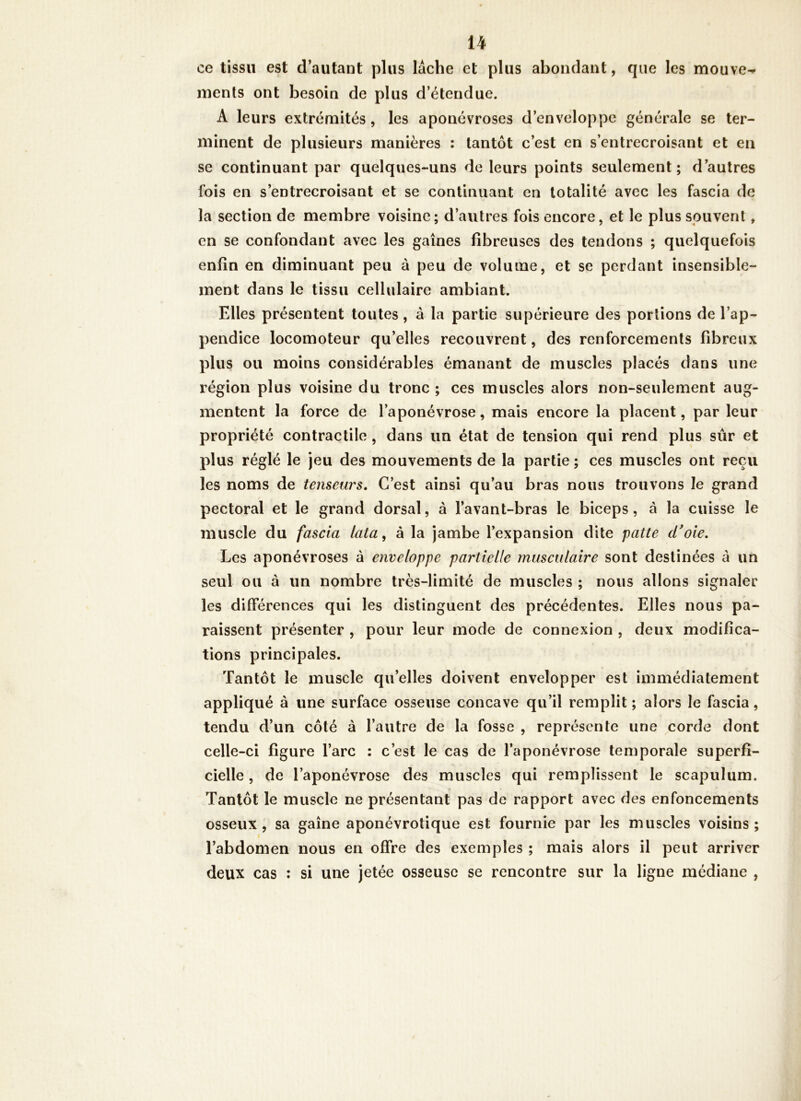 ce tissu est d’autant plus lâche et plus abondant, que les mouve- ments ont besoin de plus d’étendue. A leurs extrémités, les aponévroses d’enveloppe générale se ter- minent de plusieurs manières ; tantôt c’est en s’entrecroisant et en se continuant par quelques-uns de leurs points seulement; d’autres Ibis en s’entrecroisant et se continuant en totalité avec les fascia de la section de membre voisine; d’autres fois encore, et le plus souvent, en se confondant avec les gaines fibreuses des tendons ; quelquefois enfin en diminuant peu à peu de volume, et se perdant insensible- ment dans le tissu cellulaire ambiant. Elles présentent toutes, â la partie supérieure des portions de l’ap- pendice locomoteur qu’elles recouvrent, des renforcements fibreux plus ou moins considérables émanant de muscles placés dans une région plus voisine du tronc ; ces muscles alors non-seulement aug- mentent la force de l’aponévrose, mais encore la placent, par leur propriété contractile, dans un état de tension qui rend plus sûr et plus réglé le jeu des mouvements de la partie ; ces muscles ont reçu les noms de tenseurs. C’est ainsi qu’au bras nous trouvons le grand / pectoral et le grand dorsal, à l’avant-bras le biceps, à la cuisse le muscle du fascia lata^ à la jambe l’expansion dite patte d'oie. Les aponévroses à enveloppe partielle musculaire sont destinées à un seul ou à un nombre très-limité de muscles ; nous allons signaler les différences qui les distinguent des précédentes. Elles nous pa- raissent présenter , pour leur mode de connexion , deux modifica- tions principales. Tantôt le muscle qu’elles doivent envelopper est immédiatement appliqué à une surface osseuse concave qu’il remplit ; alors le fascia, tendu d’un côté à l’autre de la fosse , représente une corde dont celle-ci figure l’arc : c’est le cas de l’aponévrose temporale superfi- cielle , de l’aponévrose des muscles qui remplissent le scapulum. Tantôt le muscle ne présentant pas de rapport avec des enfoncements osseux, sa gaine aponévrotique est fournie par les muscles voisins; l’abdomen nous en offre des exemples ; mais alors il peut arriver deux cas : si une jetée osseuse se rencontre sur la ligne médiane ,