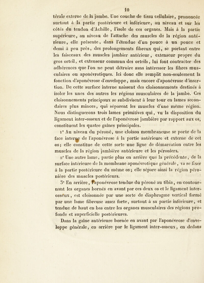 térale externe de la jambe. Une couche de tissu cellulaire, prononcée surtout à la partie postérieure et inférieure, au niveau et sur les côtés du tendon d’Achille, l’isole de ces organes. Mais à la partie supérieure, au niveau de l’attache des muscles de la région anté- rieure, elle présente, dans l’étendue d’un pouce à un pouce et demi à peu près, des prolongements fibreux qui, se portant entre les faisceaux des muscles jambier antérieur, extenseur propre du gros orteil, et extenseur commun des orteils, lui font contracter des adhérences que l’on ne peut détruire sans intéresser les fibres mus- culaires ou aponévrotiques. Ici donc elle remplit non-seulement la fonction d’aponévrose d’enveloppe, mais encore d’aponévrose d’inser- tion. De cette surface interne naissent des cloisonnements destinés à isoler les unes des autres les régions musculaires de la jambe. Ces cloisonnements principaux se subdivisent à leur tour en lames secon- daires plus minces, qui séparent les muscles d’une même région. Nous distinguerons trois lames primitives qui, vu la disposition du ligament inter-osseux et de l’aponévrose jambière par rapport aux os, constituent les quatre gaines principales. 1® Au niveau du péroné, une cloison membraneuse se porte de la face interi^ de l’aponévrose à la partie antérieure et externe de cet os ; elle constitue de cette sorte une ligne de démarcation entre les muscles de la région jambière antérieure et les péroniers. Une autre lame, partie plus en arrière que la précédente, de la surface intérieure de la membrane aponévrotique générale, va se fixer à la partie postérieure du même os ; elle sépare ainsi la région péro- nière des muscles postérieurs. 3“ En arrière, Paponévrose tendue du péroné au tibia, en contour- nant les organes bornés en avant par ces deux os et le ligament inter- osséux , est cloisonnée par une sorte de diaphragme vertical formé par une lame fibreuse assez forte, surtout à sa partie inférieure, et tendue de haut en bas entre les organes musculaires des régions pro- fonde et superficielle postérieures. Dans la gaine antérieure bornée en avant par l’aponévrose d’enve- loppe générale, en arrière par le ligament inter-osseux, en dedans