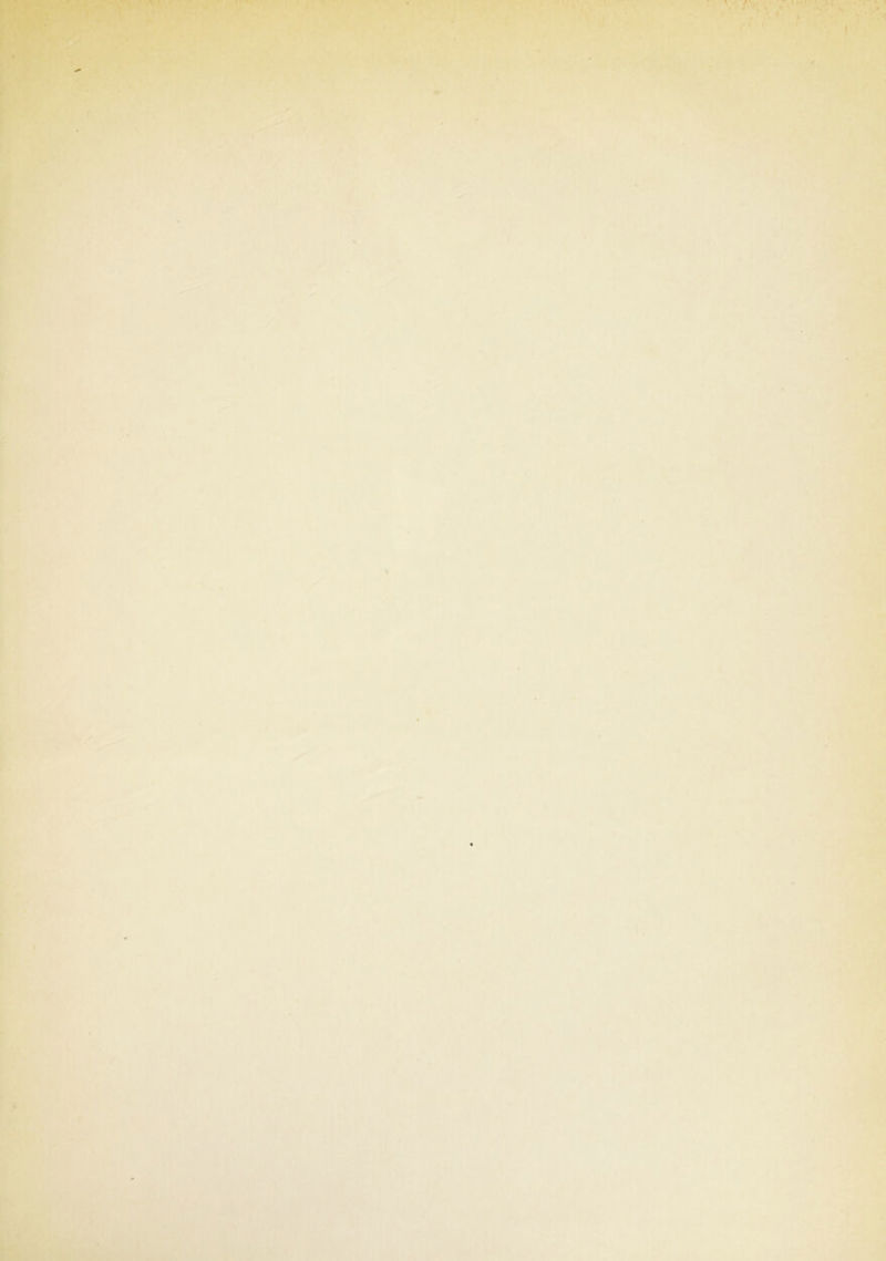 K iSiï:,:-^v ■ .■,;--:':i>,'- ..:^ ■.';. ••■='« y -■ r*#.’ ' . i- ' ■w'. A • ’X .' ’ '■.,. ^-. r ■ y. V • ■- 4 ' i4î»<'. • • ' ' . .t. 1 */r- • ;■ k. 4 » * » .. » • 1^ ' ' p‘..*' '' '^,. ,f .. . ,'-,V !?J<( / .»» • .V É * . _ ^ » ..•V'* ^‘-•. ' ■‘ . ’■' • ^ » ■ 4 ^ ' • } < 4 4 » ,. •* - - •*-i ^ '• J ^1 ' 4* ^ ■ '1 • ;?4,' ’ i -• M • * * * * 4.*^ 4. 4 ’ - r *► *.>.5 * \ .‘ » •> « f •- - ’’ . ' * ■ ’ * • •?-..’ * .« • r*T ■'r- '> ••■ **'-\rT^-.-, X irn-iü^ M4C*’ÿ‘‘V .>*V vl' ■ ytp®^,r i,J^ ' '-■■* \ r* Hfe-;.'.»'* / . '*■•♦'. V ‘’î^ '4 ’^’ ■' t 4 ^ ■'■»V '• ‘ '• '^Ê iw. ii'- MX- ^ -0 ■'X''J>‘‘V‘ '•Æ •-. -‘4 '■ K;. , -X '-x:, ; , . ',,x|g