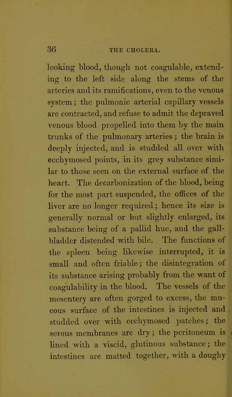 looking blood, though not coagulable, extend- ing to the left side along the stems of the arteries and its ramifications, even to the venous system; the pulmonic arterial capillary vessels are contracted, and refuse to admit the depraved venous blood propelled into them by the main trunks of the pulmonary arteries; the brain is deeply injected, and is studded all over with ecchymosed points, in its grey substance simi- lar to those seen on the external surface of the heart. The decarbonization of the blood, being for the most part suspended, the offices of the liver are no longer required; hence its size is generally normal or but slightly enlarged, its substance being of a pallid hue, and the gall- bladder distended with bile. The functions of the spleen being likewise interrupted, it is small and often friable; the disintegration of its substance arising probably from the want of coagulability in the blood. The vessels of the mesentery are often gorged to excess, the mu- cous surface of the intestines is injected and studded over with ecchymosed patches; the serous membranes are dry; the peritoneum is lined with a viscid, glutinous substance; the intestines are matted together, with a doughy