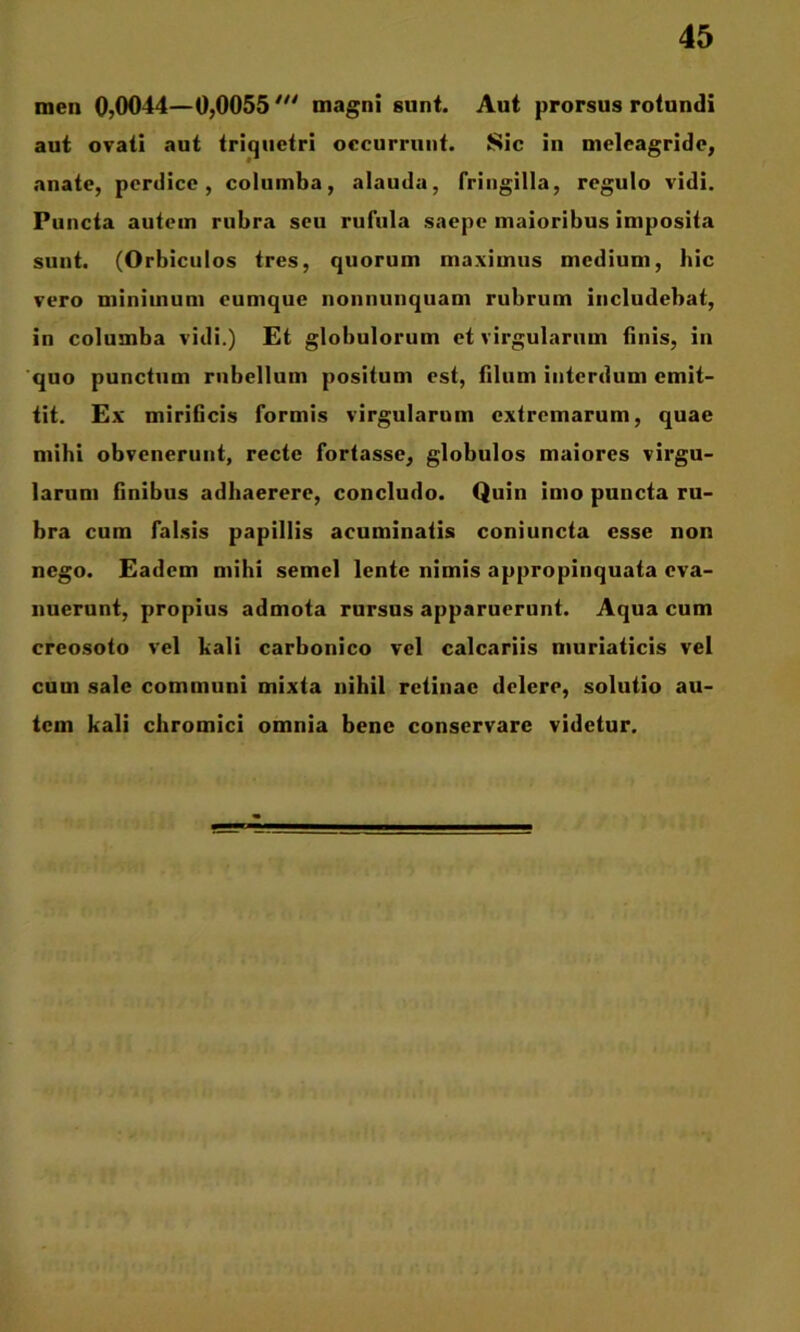 men 0,0044—0,0055 magni sunt. Aut prorsus rotundi aut ovati aut triquetri occurrunt. Sic in melcagride, anate, perdice, columba, alauda, fringilla, regulo vidi. Puncta autem rubra seu rufula saepe maioribus imposita sunt. (Orbiculos tres, quorum maximus medium, hic vero minimum eumque nonnunquam rubrum includebat, in columba vidi.) Et globulorum et virgularum finis, in 'quo punctum rubellum positum est, filum interdum emit- tit. £x' miriGcis formis virgularum extremarum, quae mihi obvenerunt, recte fortasse, globulos maiores virgu- larum Gnibus adhaerere, concludo. Quin imo puncta ru- bra cum falsis papillis acuminatis coniuncta esse non nego. Eadem mihi semel lente nimis appropinquata eva- nuerunt, propius admota rursus apparuerunt. Aqua cum creosoto vel kali carbonico vel calcariis muriaticis vel cum sale communi mixta nihil retinae delere, solutio au- tem kali cliromici omnia bene conservare videtur.