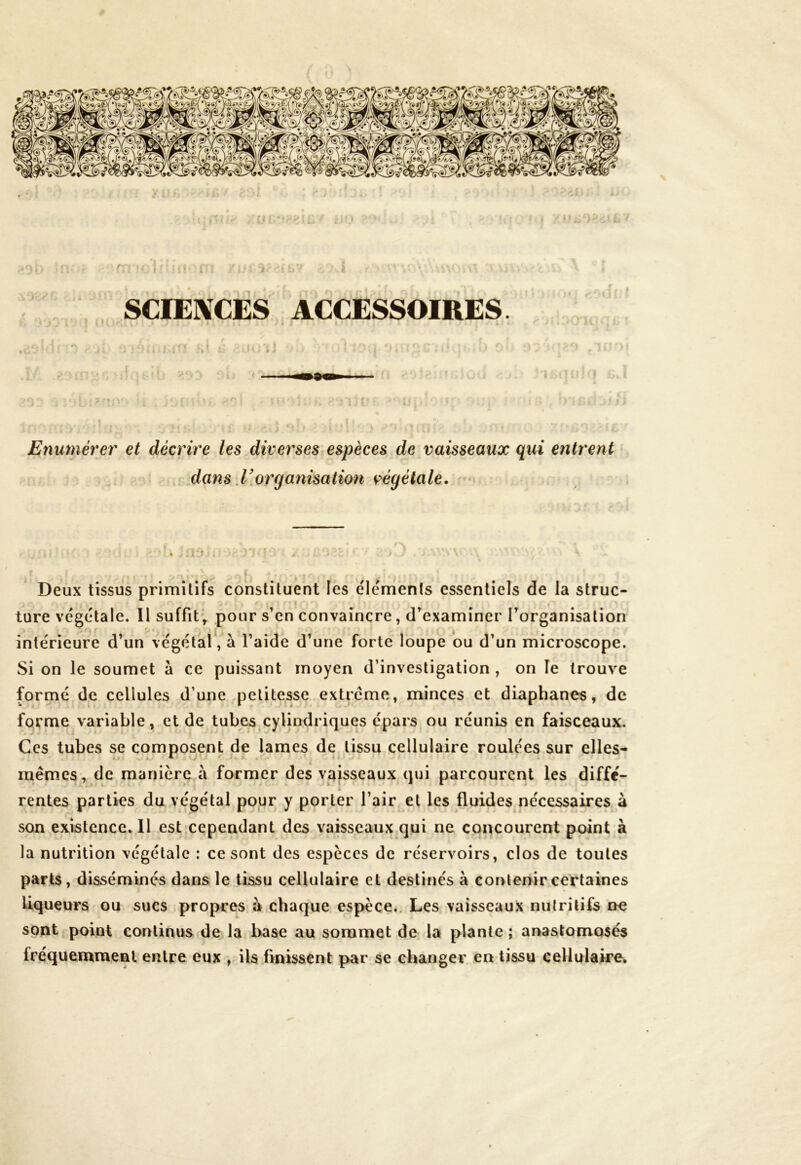 SCIENCES ACCESSOIRES « »: Enumérer et décrire les diverses espèces de vaisseaux qui entrent dans Vorganisation végétale. Deux tissus primitifs constituent les éléments essentiels de la struc- ture végétale. Il suffit, pour s’en convaincre, d’examiner l’organisation intérieure d’un végétal, à l’aide d’une forte loupe ou d’un microscope. Si on le soumet à ce puissant moyen d’investigation , on le trouve formé de cellules d’une petitesse extrême, minces et diaphanes, de forme variable, et de tubes cylindriques épars ou réunis en faisceaux. Ces tubes se composent de lames de tissu cellulaire roulées sur elles- . ; - *■ ✓ '  mêmes, de manière a former des vaisseaux qui parcourent les diffé- rentes parties du végétal pour y porter l’air et les fluides nécessaires à son existence. Il est cependant des vaisseaux qui ne concourent point à la nutrition végétale : ce sont des espèces de réservoirs, clos de toutes parts, disséminés dans le tissu cellulaire et destinés à contenir certaines liqueurs ou sucs propres à chaque espèce. Les vaisseaux nutritifs ne sont point continus de la base au sommet de la plante ; anastomosés fréquemment entre eux , ils finissent par se changer en tissu cellulaire.