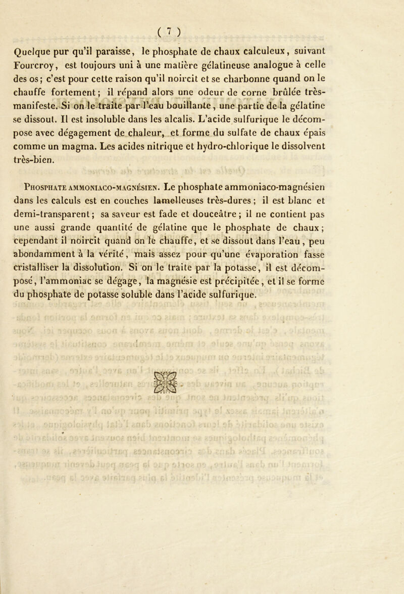 ( 1 ) Quelque pur qu’il paraisse, le phosphate de chaux calculeux, suivant Fourcroy, est toujours uni à une matière gélatineuse analogue à celle des os; c’est pour cette raison qu’il noircit et se charbonne quand on le chauffe fortement; il répand alors une odeur de corne brûlée très- manifeste. Si on le traite par l’^au bouillante, une partie de la gélatine se dissout. Il est insoluble dans les alcalis. L’acide sulfurique le décom- pose avec dégagement de chaleur, et forme du sulfate de chaux épais comme un magma. Les acides nitrique et hydro-chlorique le dissolvent très-bien. Phosphate ammoniaco-magnésien. Le phosphate ammoniaco-magnésien dans les calculs est en couches lamelleuses très-dures ; il est blanc et demi-transparent; sa saveur est fade et douceâtre ; il ne contient pas une aussi grande quantité de gélatine que le phosphate de chaux ; cependant il noircit quand on le chauffe, et se dissout dans l’eau, peu abondamment à la vérité, mais assez pour qu’une évaporation fasse cristalliser la dissolution. Si on le traite par la potasse, il est décom- posé, l’ammoniac se dégage, la magnésie est précipitée, et il se forme du phosphate de potasse soluble dans l’acide sulfurique.