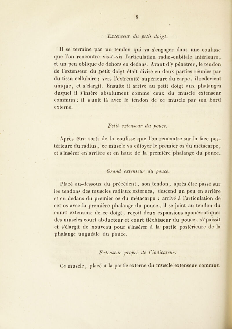 Extenseur du petit doigt. Il se termine par im tendon qui va s’engager dans une coulisse que l’on rencontre vis-à-vis l’articulation radio-cubitale inférieure, et un peu oblique de dehors en dedans. Avant d’y pénétrer, le tendon de l’extenseur du,petit doigt était divisé en deux parties réunies par du tissu cellulaire; vers l’extrémité supérieure du carpe, il redevient unique, et s’élargit. Ensuite il arrive au petit doigt aux phalanges duquel il s’insère absolument comme ceux du muscle extenseur commun ; il s’unit là avec le tendon de ce muscle par son bord externe. Petit extenseur du pouce. Après être sorti de la coulisse que l’on rencontre sur la face pos- térieure du radius, ce muscle va côtoyer le premier os du métacarpe, et s’insérer en arrière et en haut de la première phalange du pouce. Grand extenseur du pouce. Placé au-dessous du précédent, son tendon, après être passé sur les tendons des muscles radiaux externes, descend un peu en arrière et en dedans du premier os du métacarpe : arrivé à l’articulation de cet os avec la première phalange du pouce, il se joint au tendon du court extenseur de ce doigt, reçoit deux expansions aponévroliques des muscles court abducteur et court fléchisseur du pouce, s’épaissit et s’élargit de nouveau pour s’insérer à la partie postérieure de la phalange unguéale du pouce. Extenseur propre de dindicateur. Ce muscle, placé à la partie externe du muscle extenseur commun